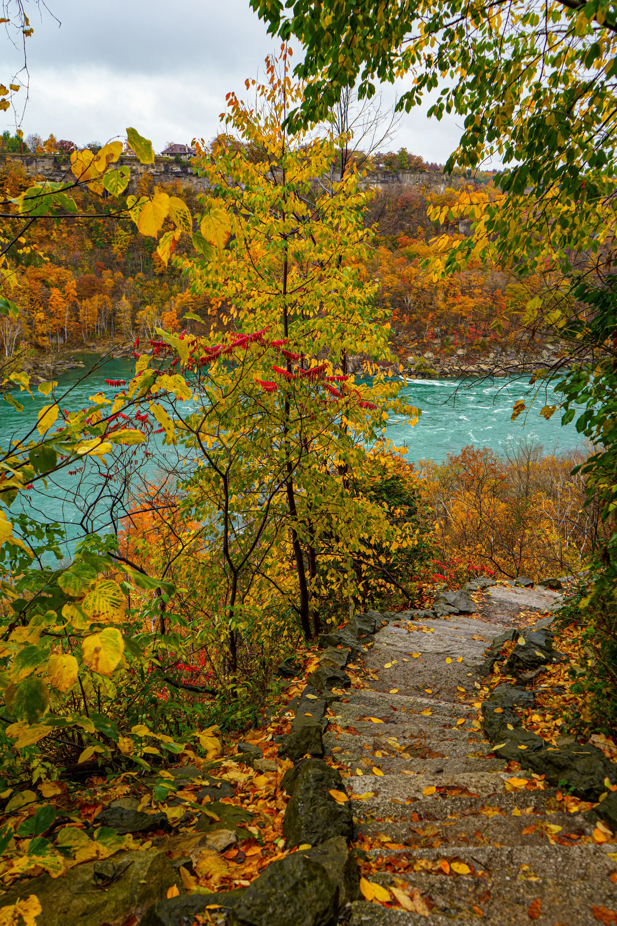 2023.10.29 - NIagra Gorge Rim trail (8 of 14).JPG