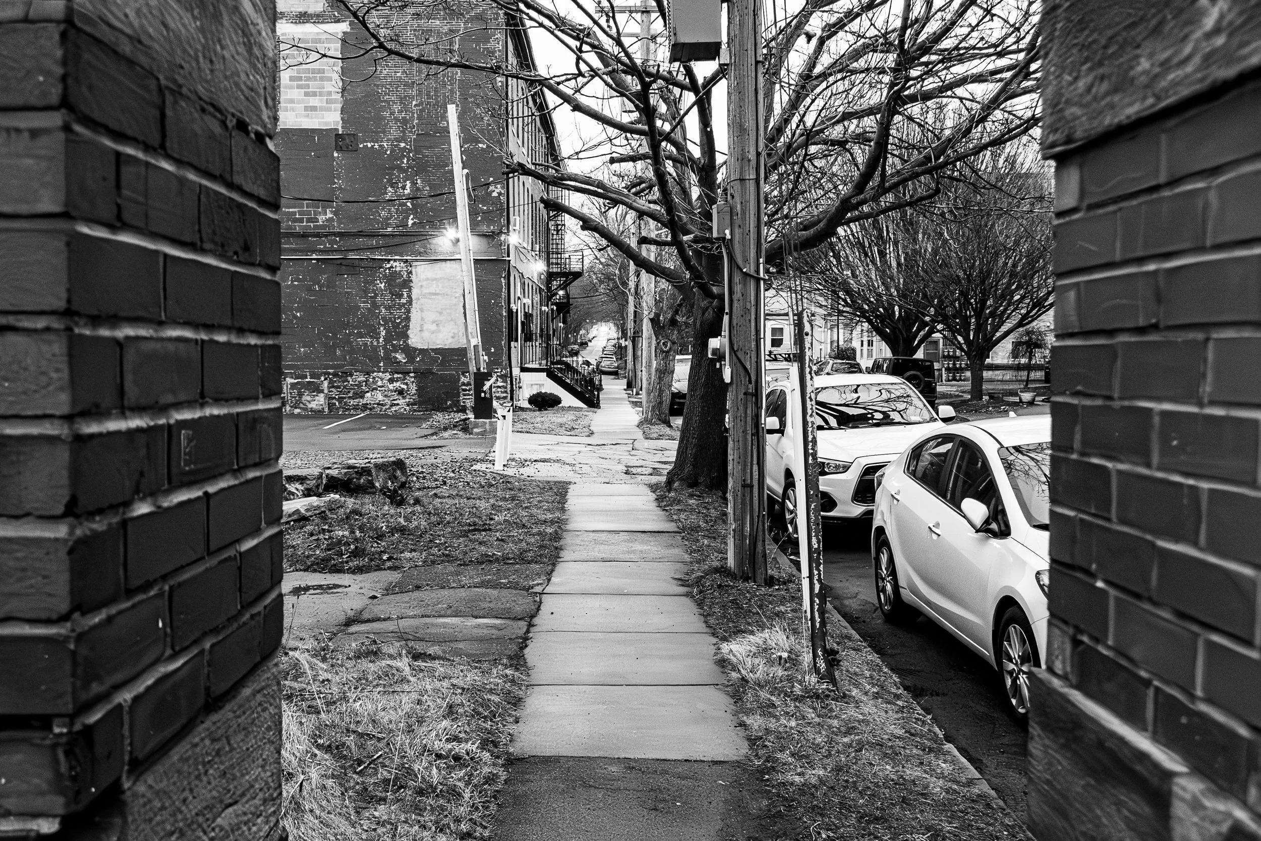 2024.02.2022 - Wow A Fence That Is Shorter Than the Subject-8.JPG