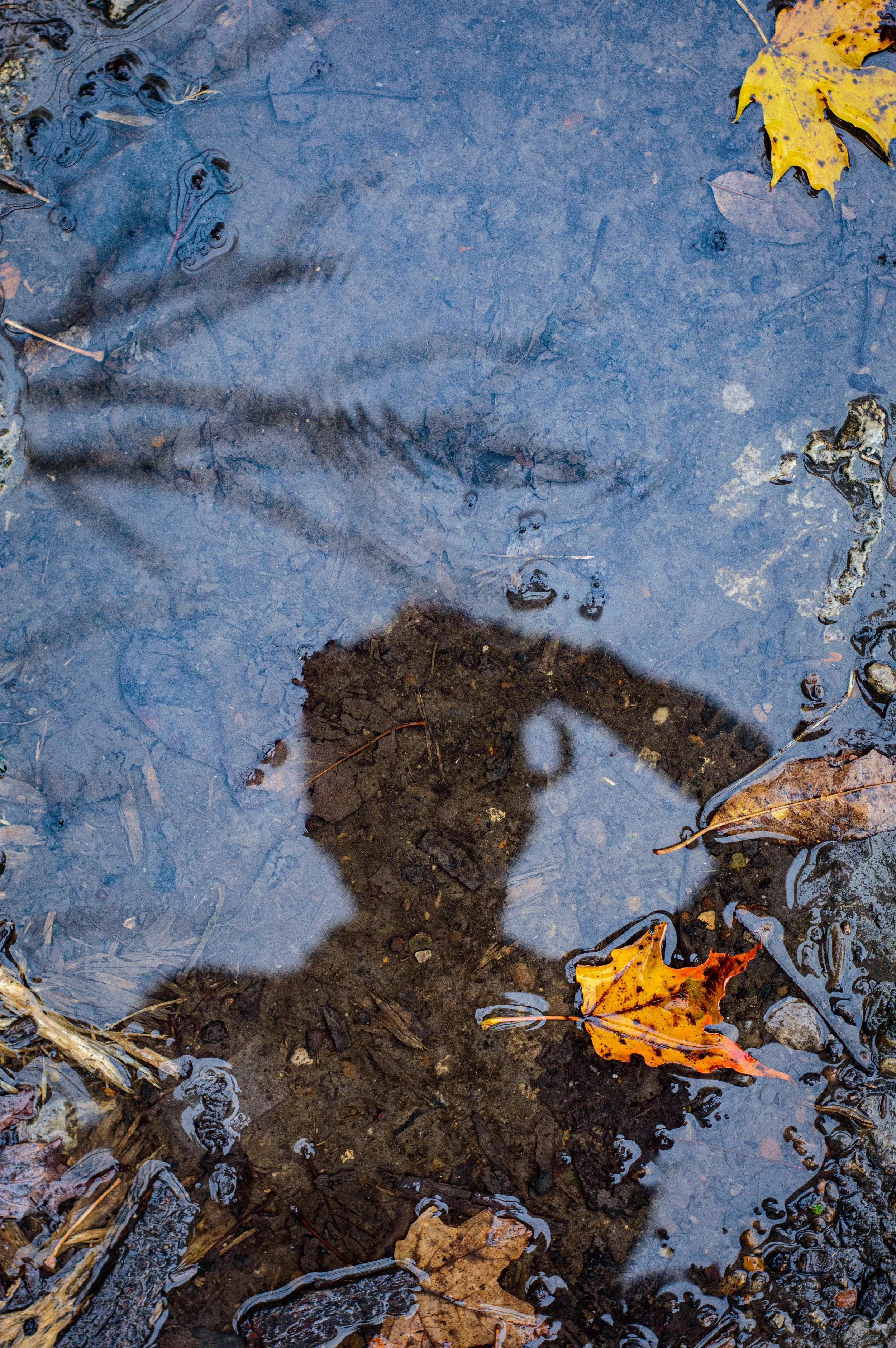 2023.10.29 - NIagra Gorge Rim trail (13 of 14).JPG