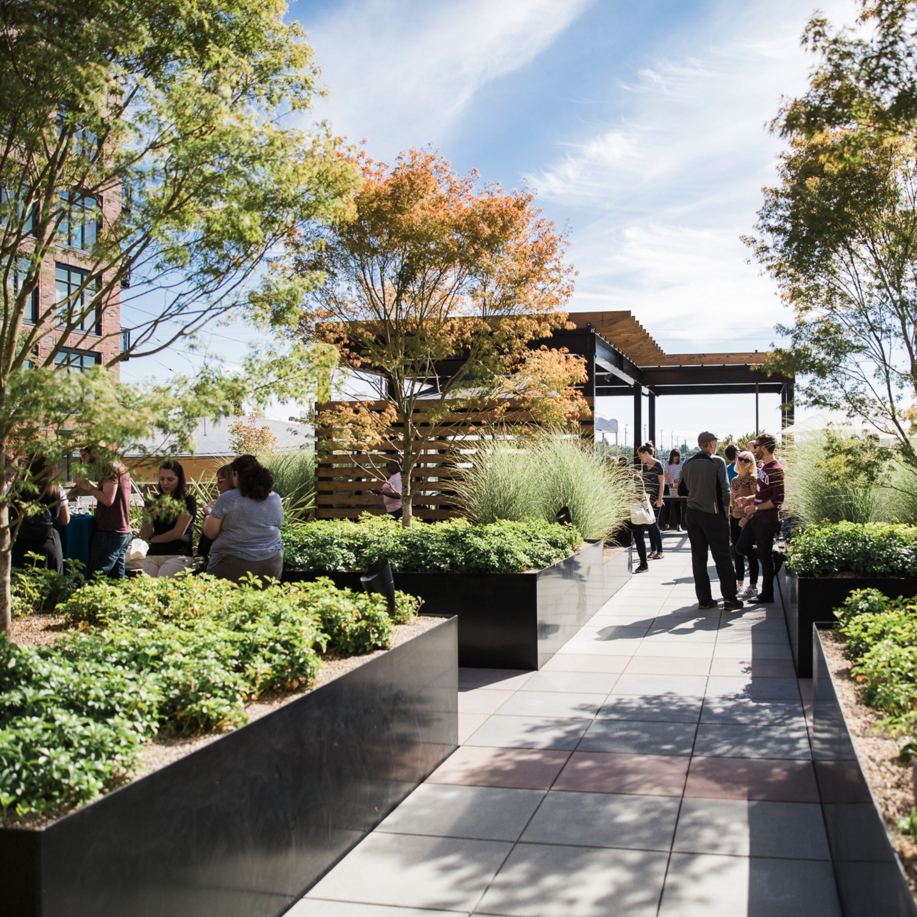 People talking in outdoor courtyard with trees and planters