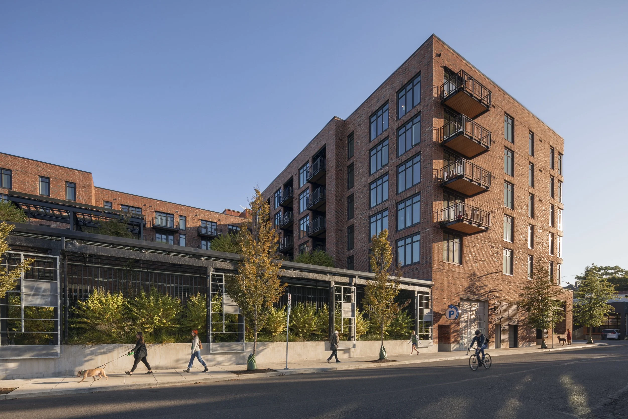 GoatBlocks_southside .jpg