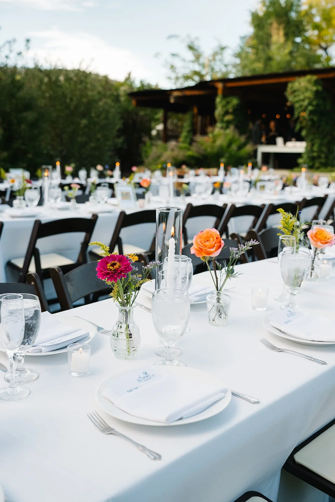 DSC_9814_websize (1).jpg