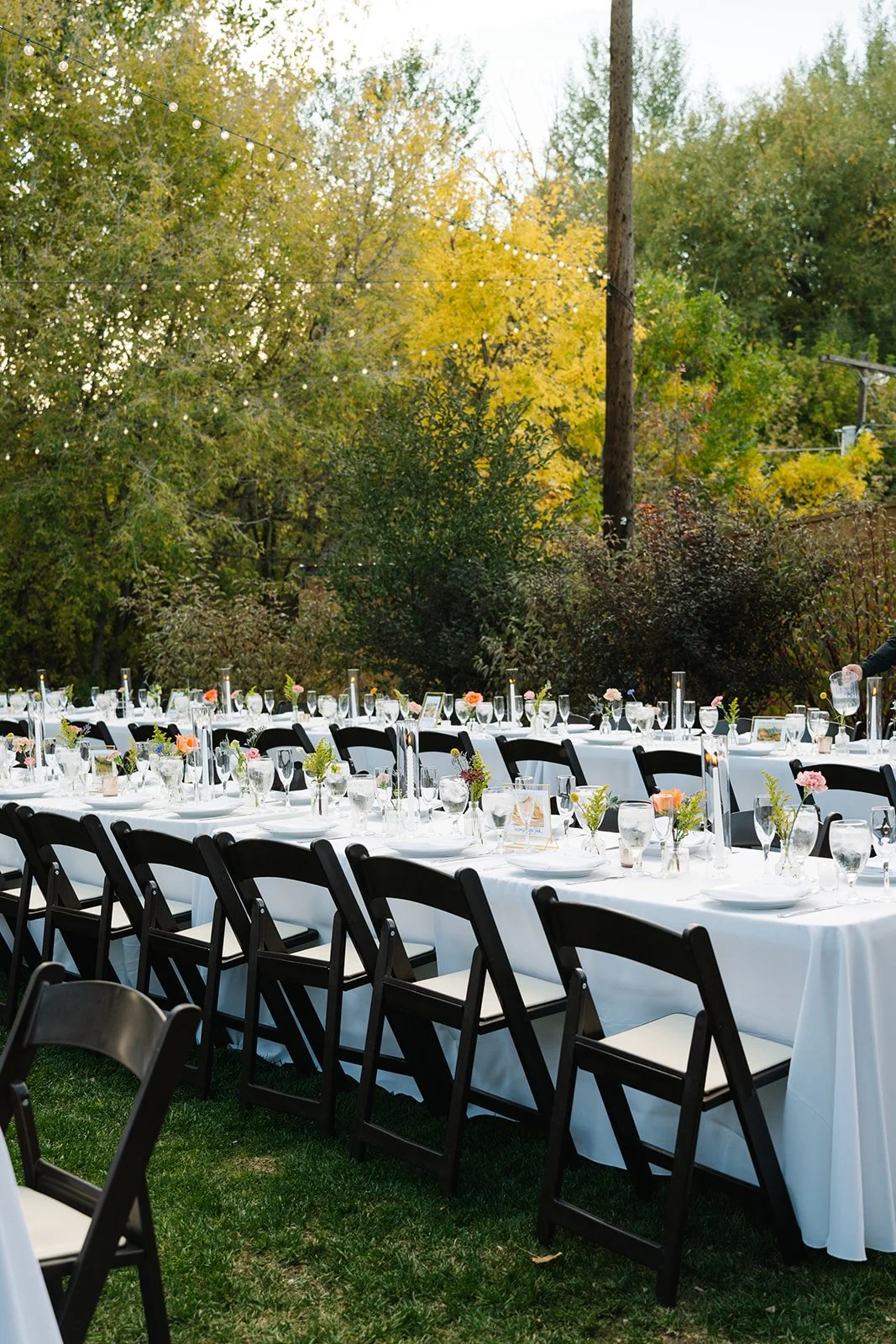 DSC_9750_websize (1).jpg