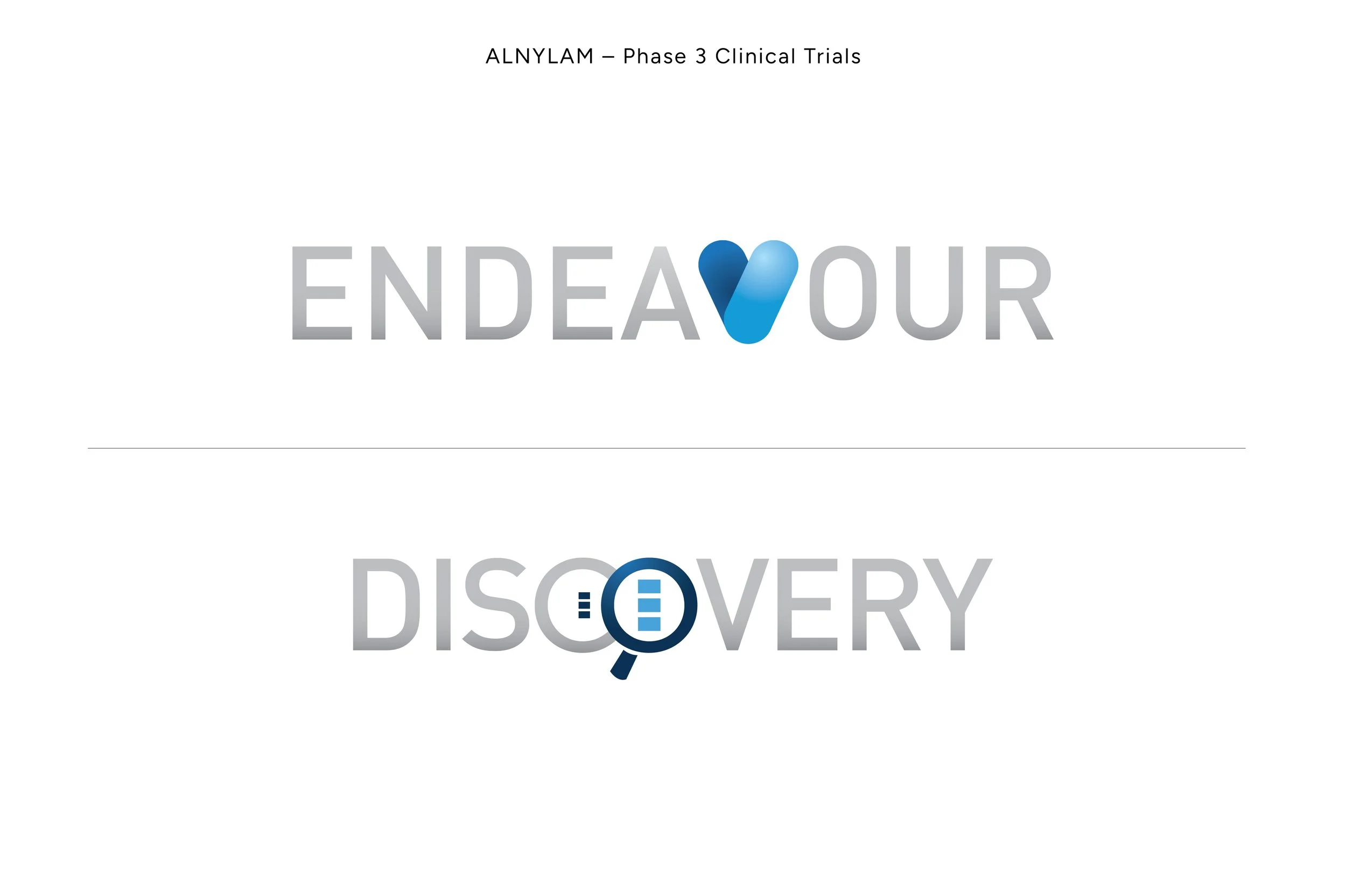 Visual Identity Artboards15.jpg