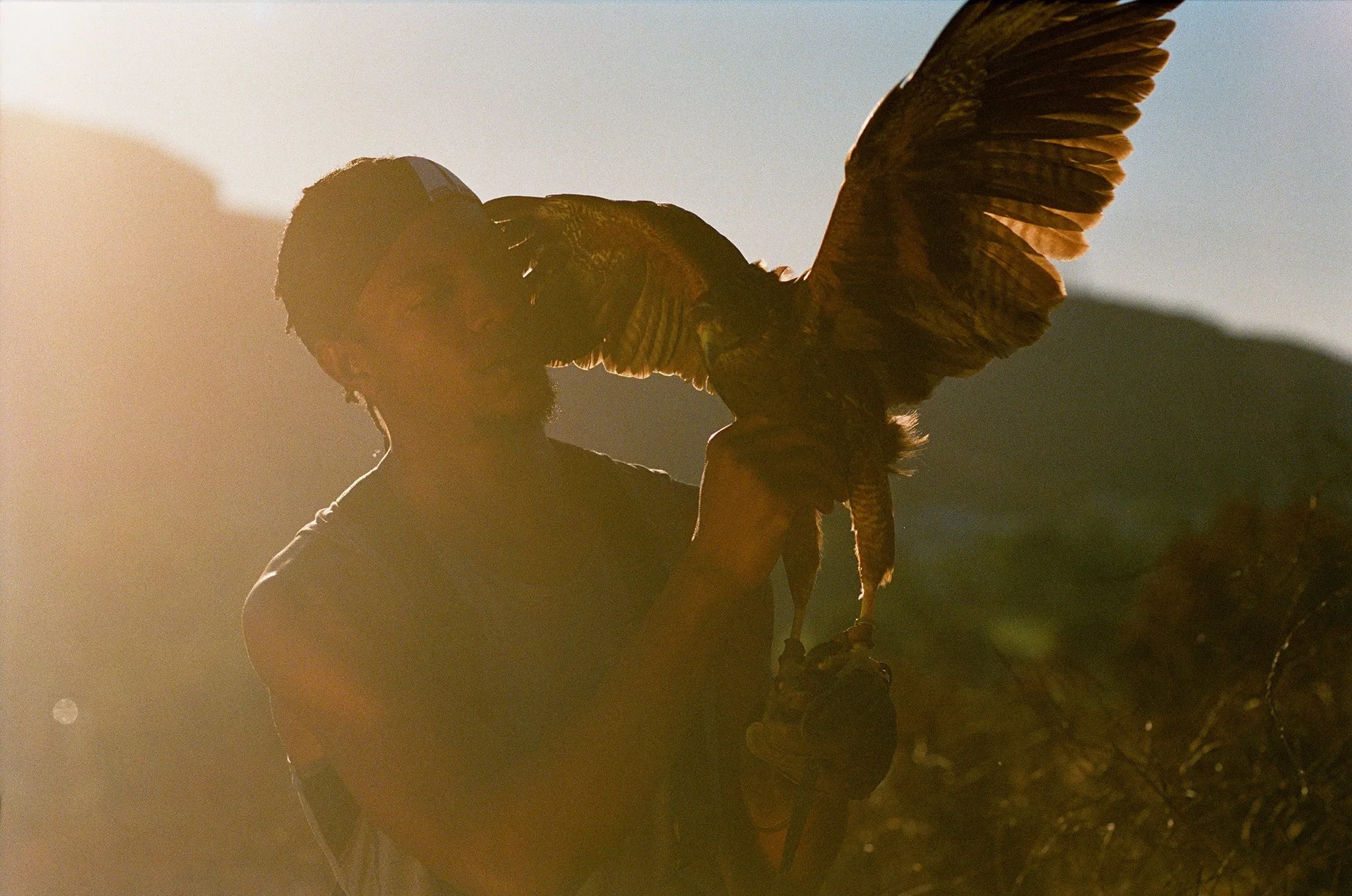 04-falconer-veonte-with-hawk-outstretched-wings.jpg.webp