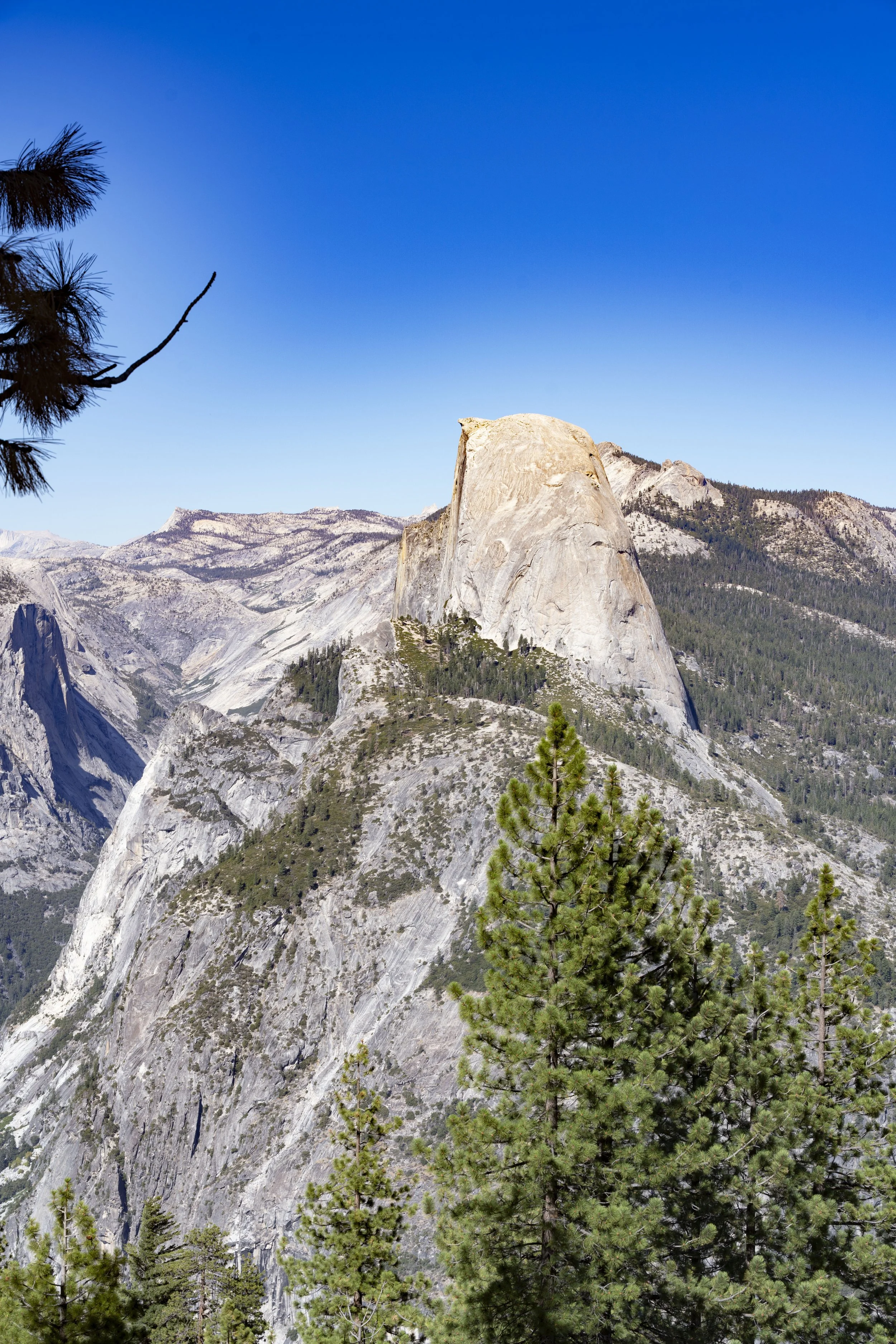 A landscape view of Half Dome, a famous granite rock formation in Yosemite National Park, with pine trees in the foreground and mountain ranges under a clear blue sky.