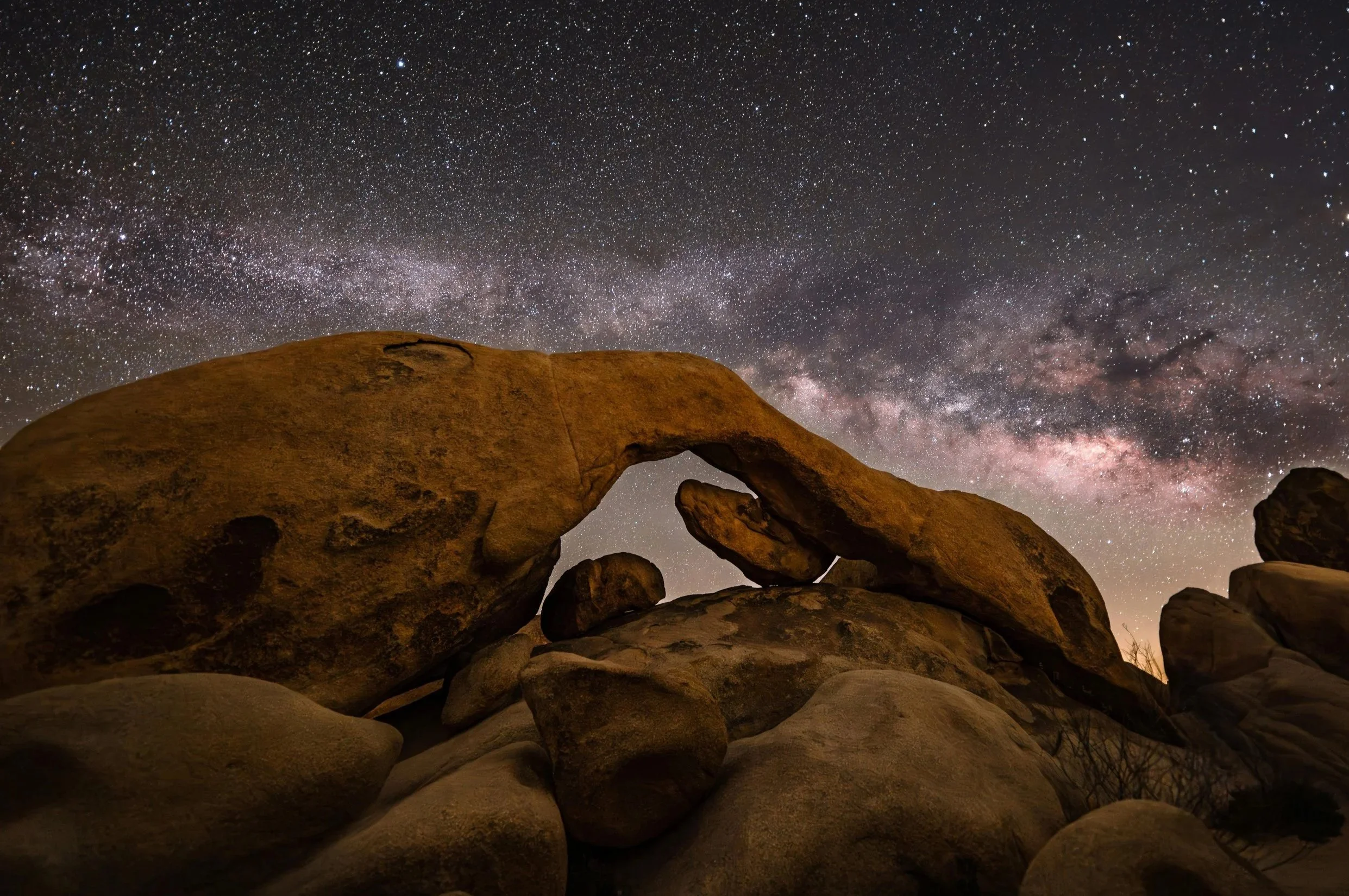 5 Reasons Joshua Tree Should Be on Your Travel Bucket List.