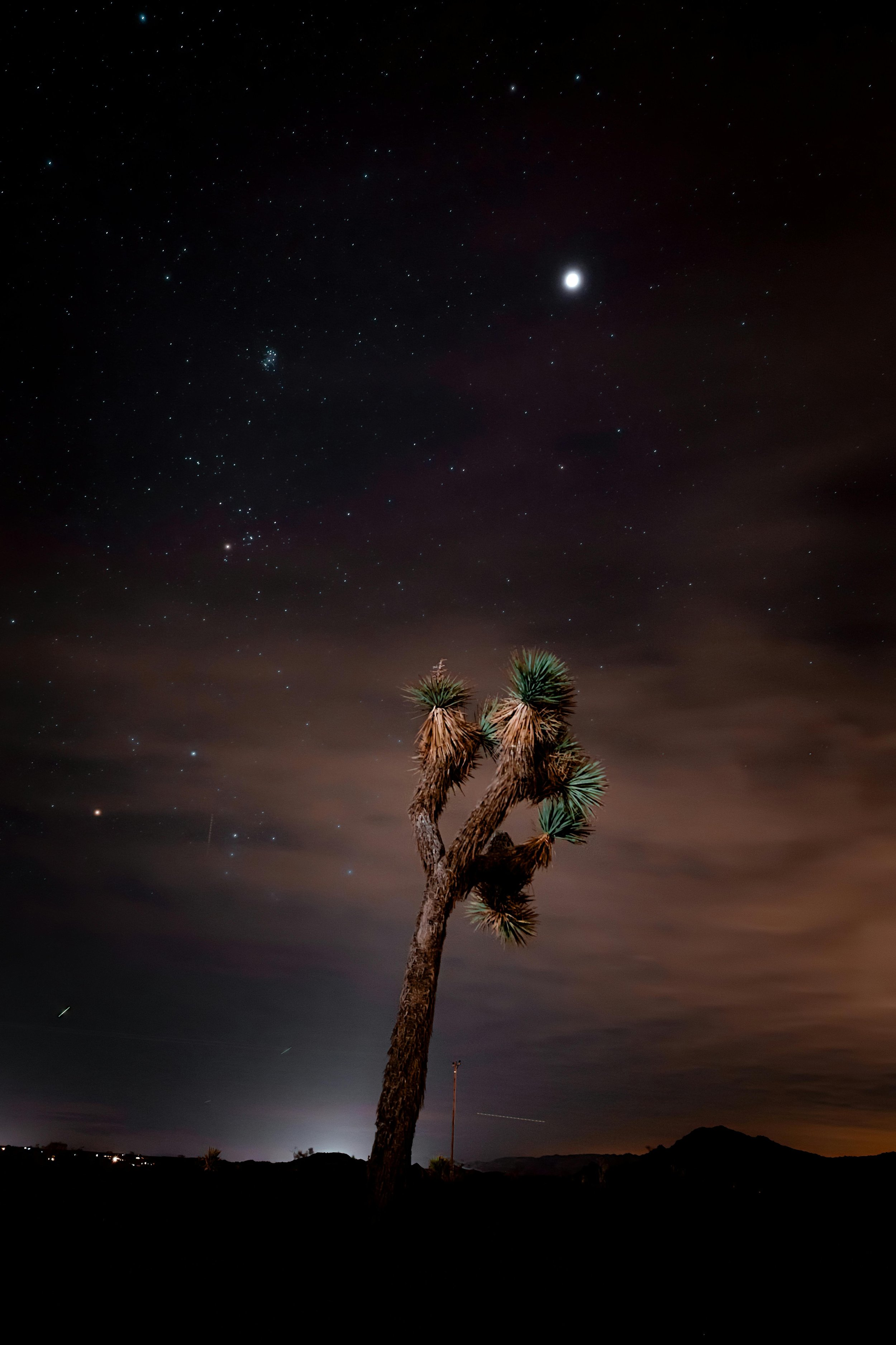Stargazing at Keys View: "Stargazers at Keys View, capturing the expansive night sky filled with stars and the silhouette of the desert landscape."