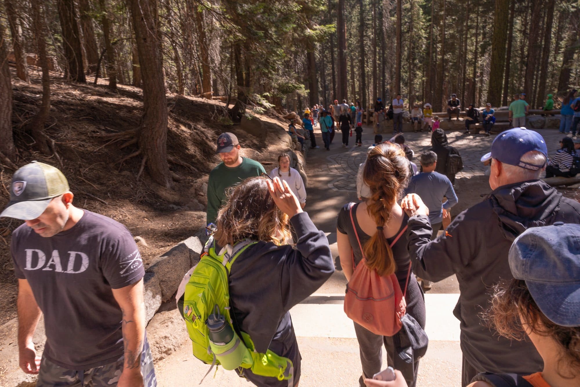 Hikers and Tourists on the Trail to General Sherman Tree in Sequoia National Park - Sequoia Trip.jpeg