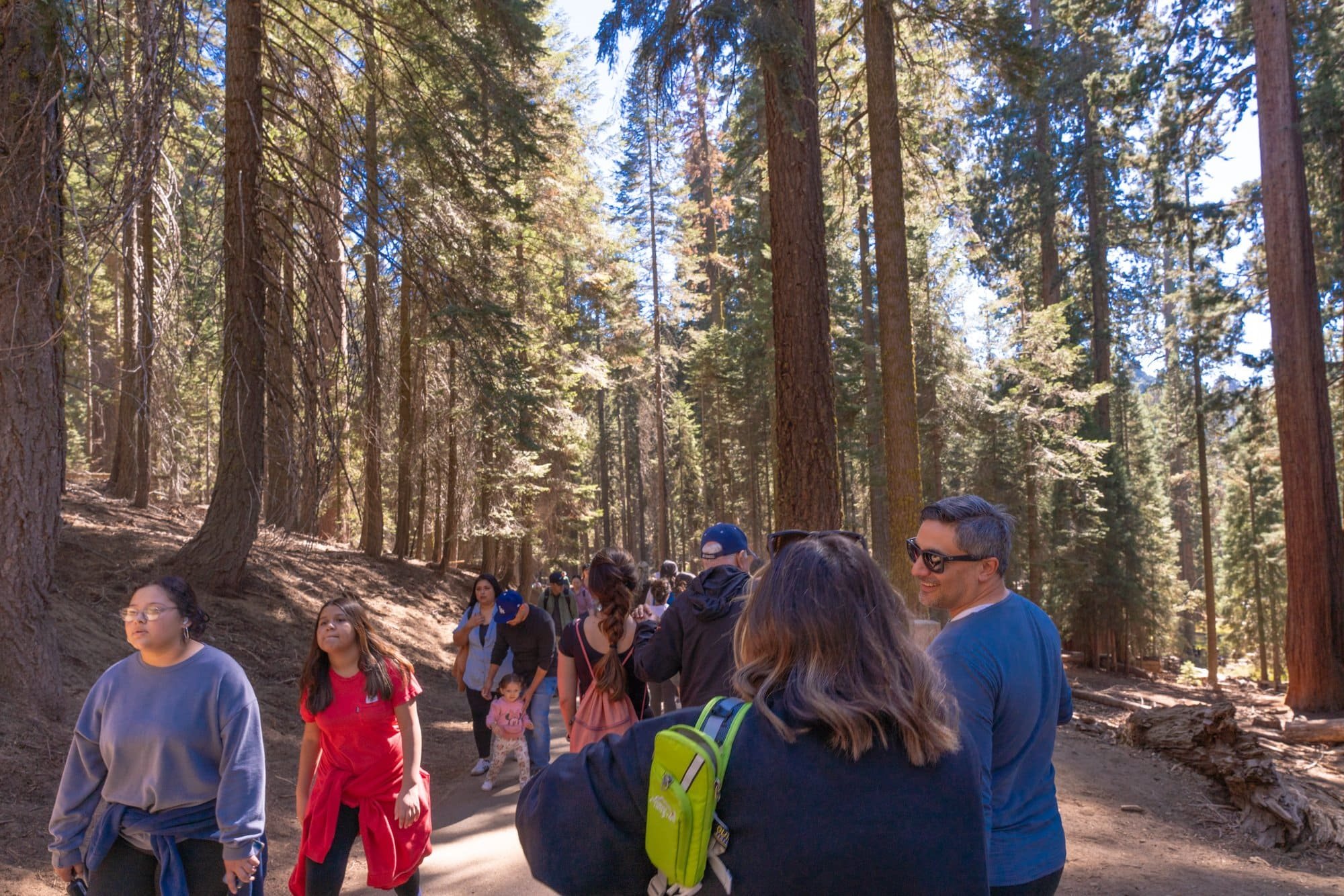 Group Hiking in a Scenic Forest Trail Family Adventure in Nature - Sequoia Trip.jpeg
