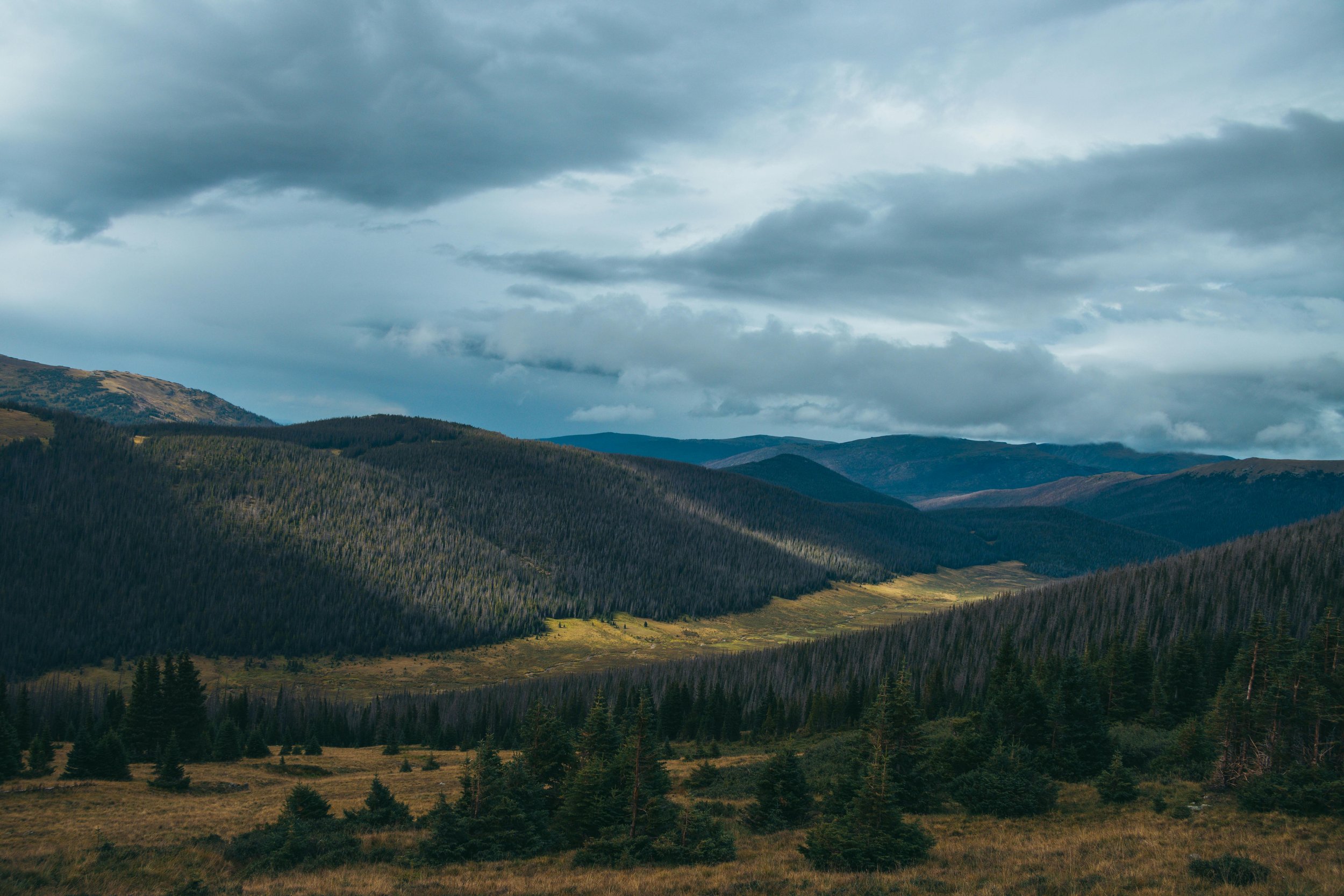 pexels-jakewymoore-28096140.jpg