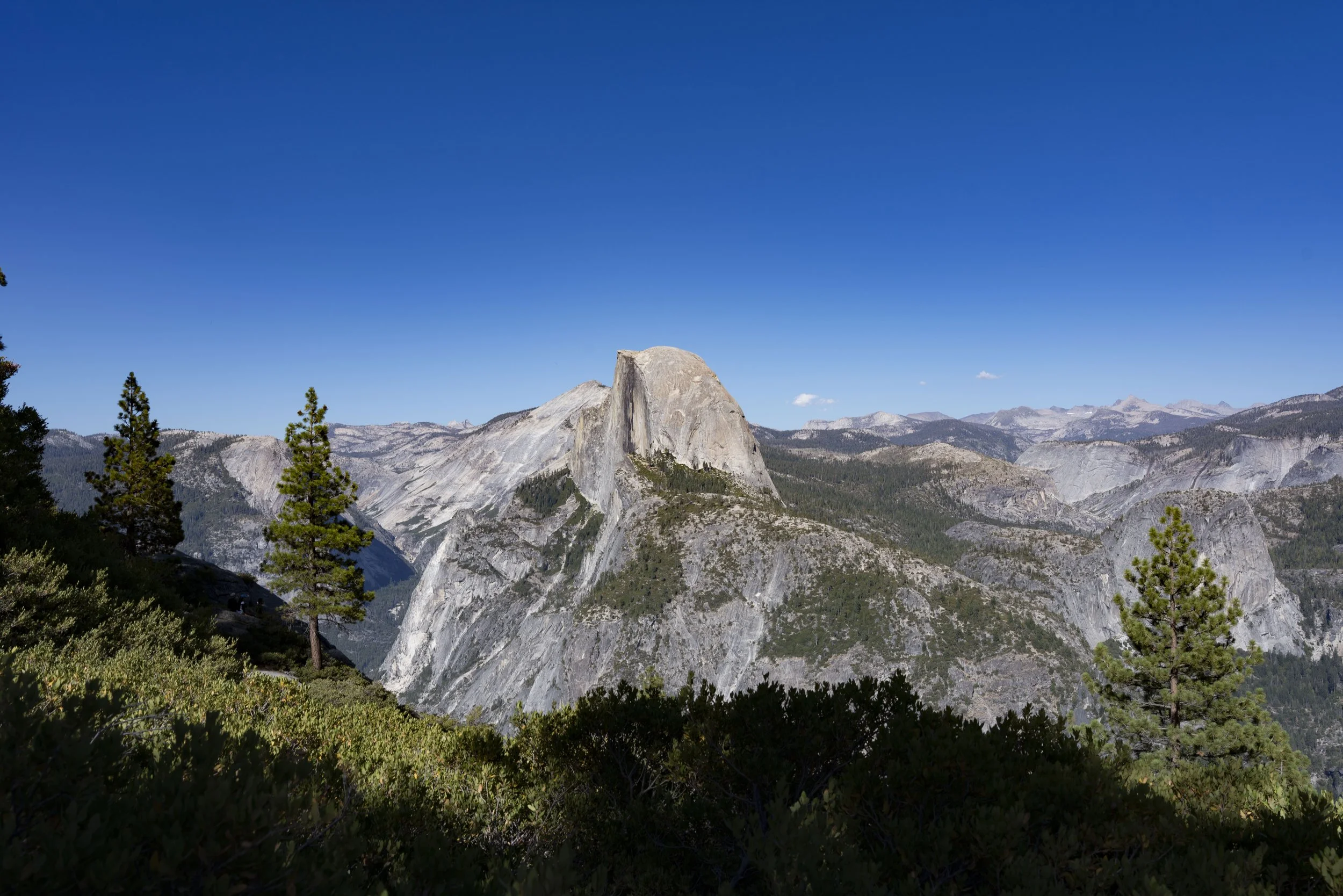 View of Half Dome granite formation in Yosemite National Park with blue sky and green trees in the foreground.