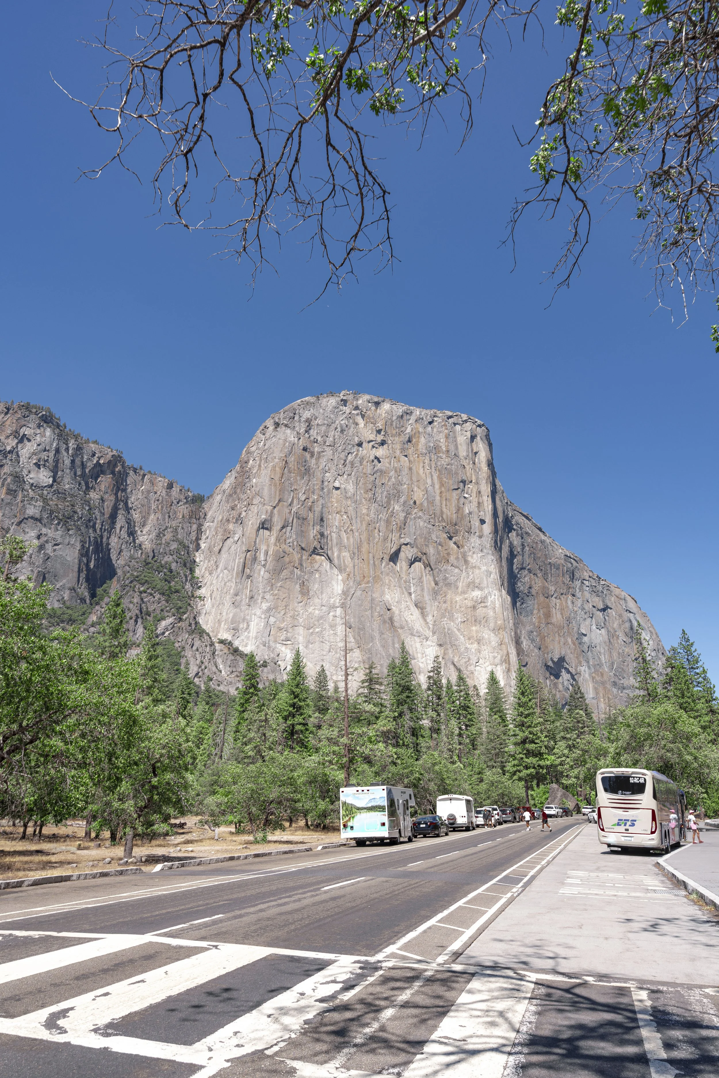 View of a large granite rock formation with a clear blue sky, trees, and parked buses and cars along a road in a natural setting.