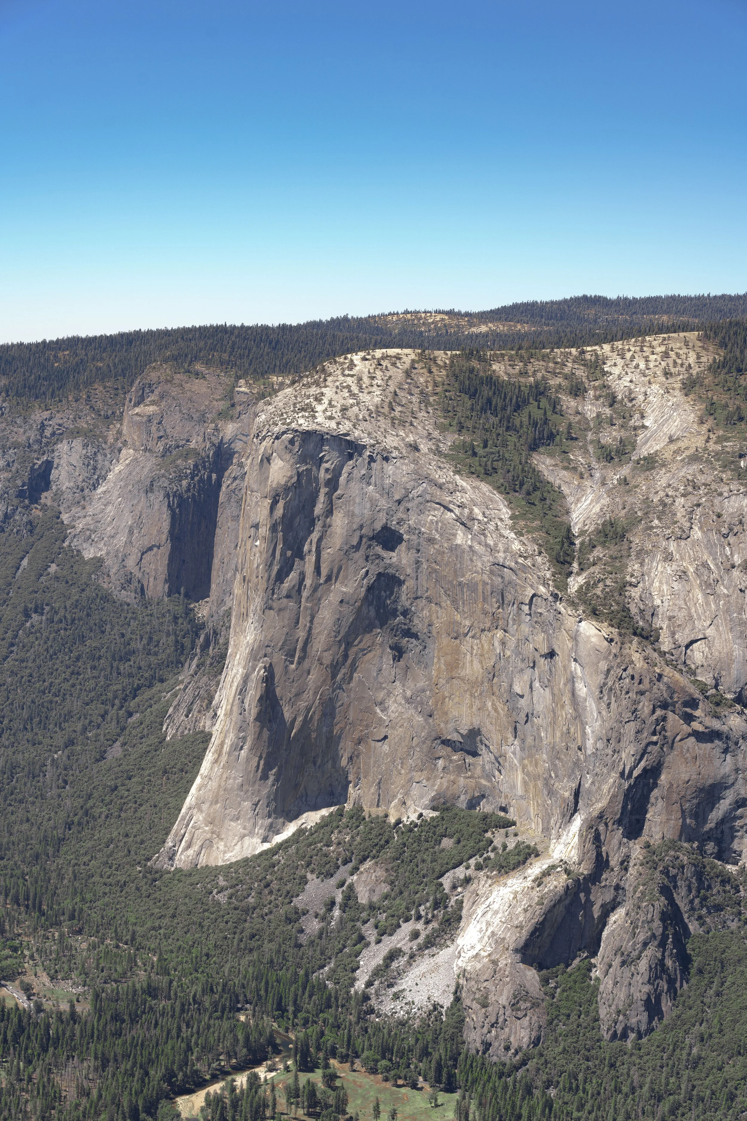 A large granite cliff surrounded by forest and a clear blue sky.