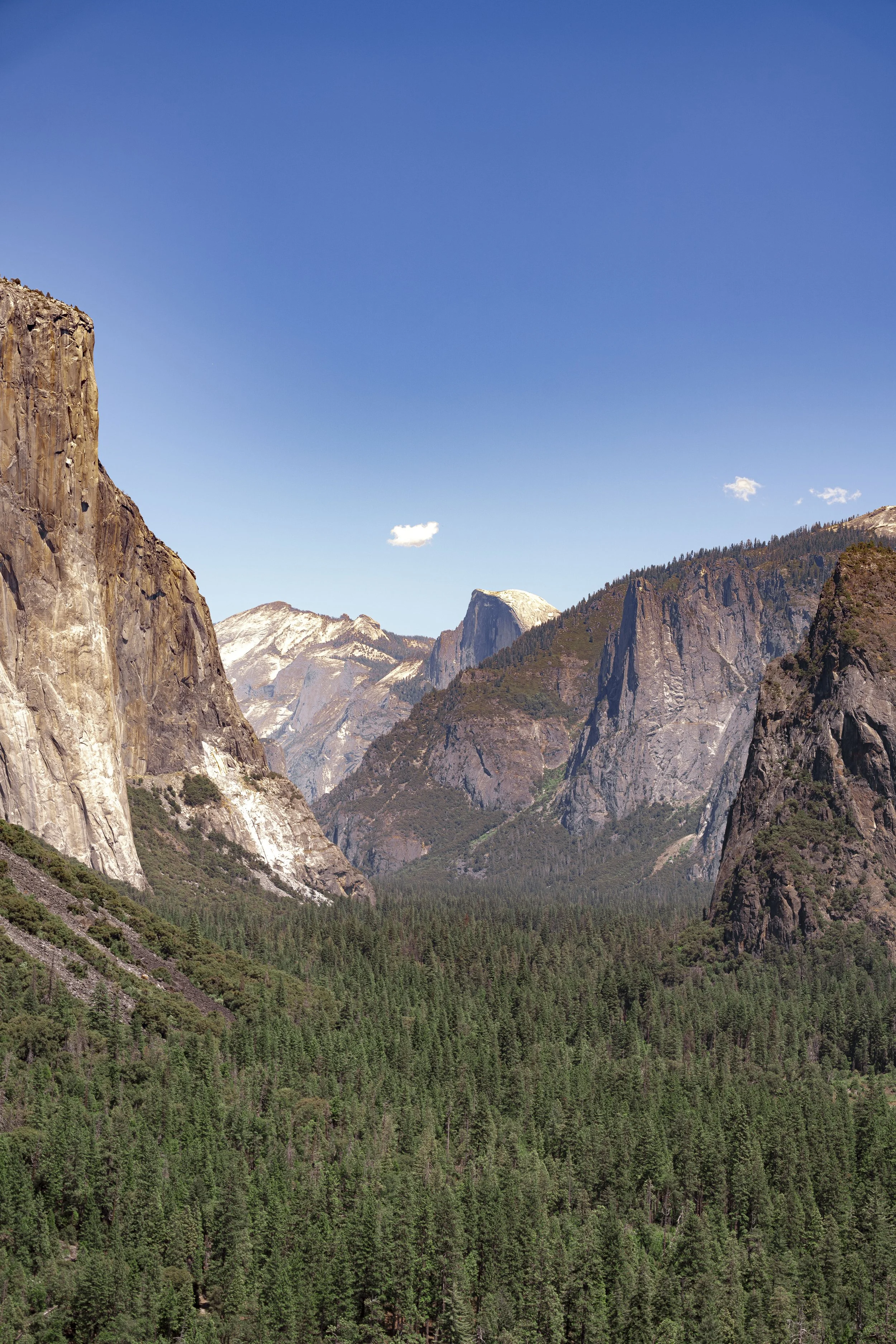 A scenic view of rocky mountains and dense green forest under a clear blue sky with a few white clouds.