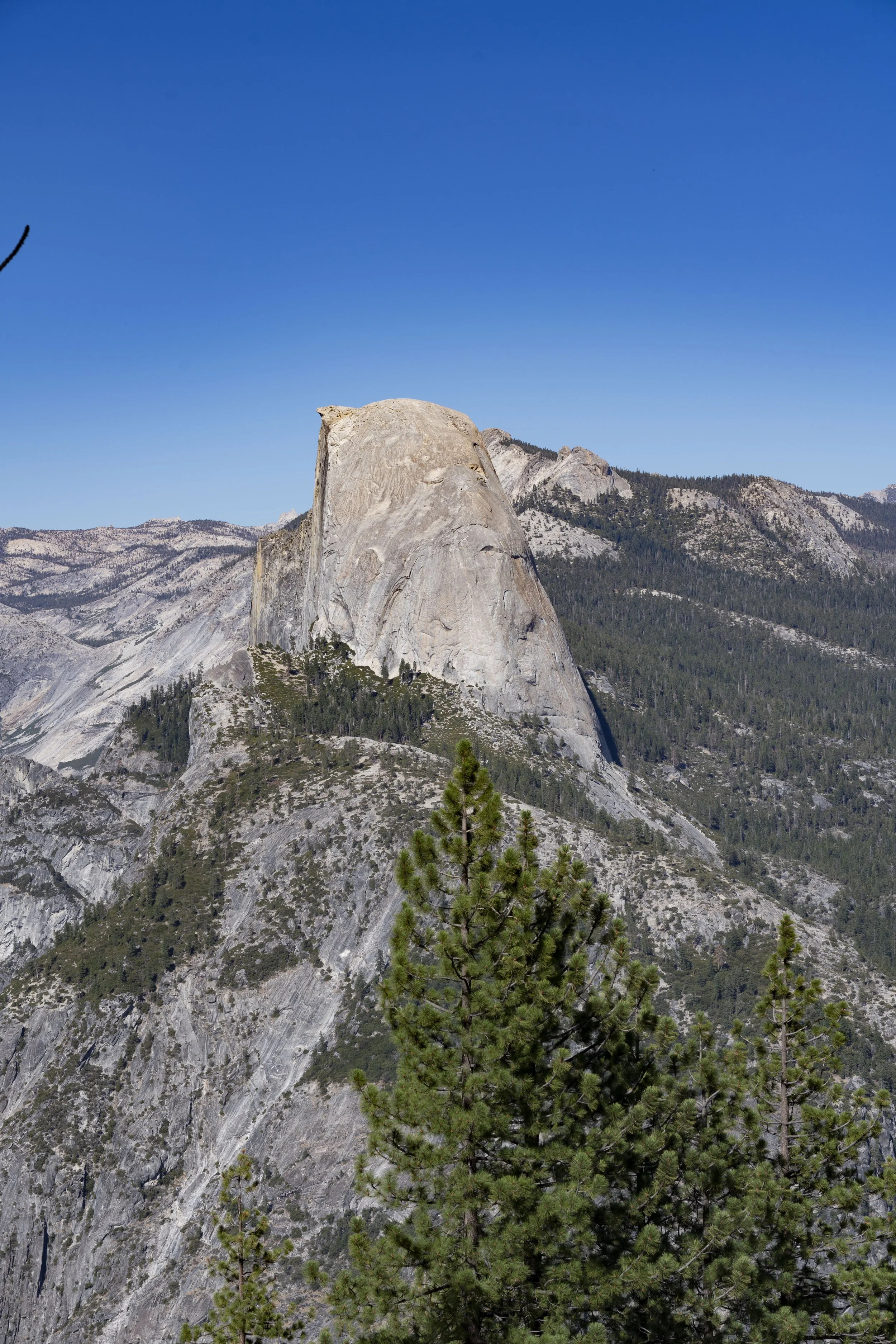 A scenic view of Half Dome mountain in Yosemite National Park with a clear blue sky and pine trees in the foreground.