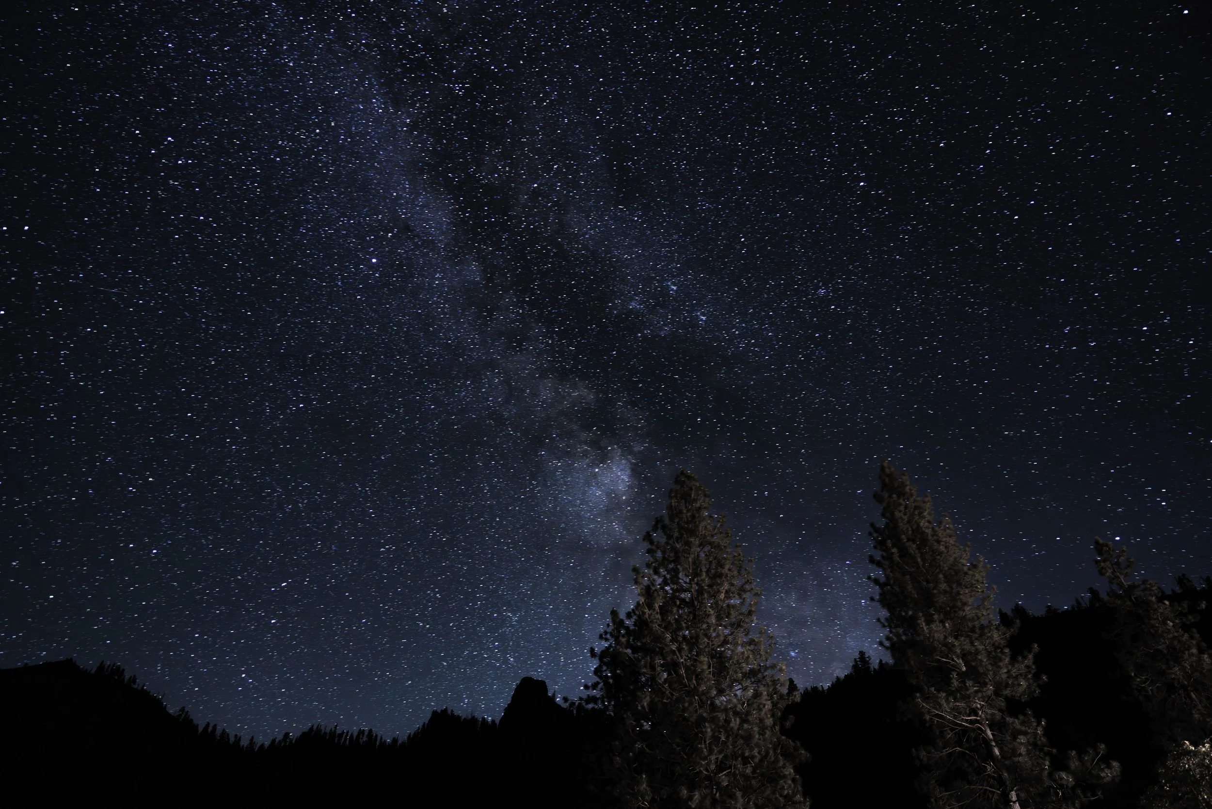 Night sky filled with stars and the Milky Way galaxy, with silhouette of trees and mountains in the foreground.