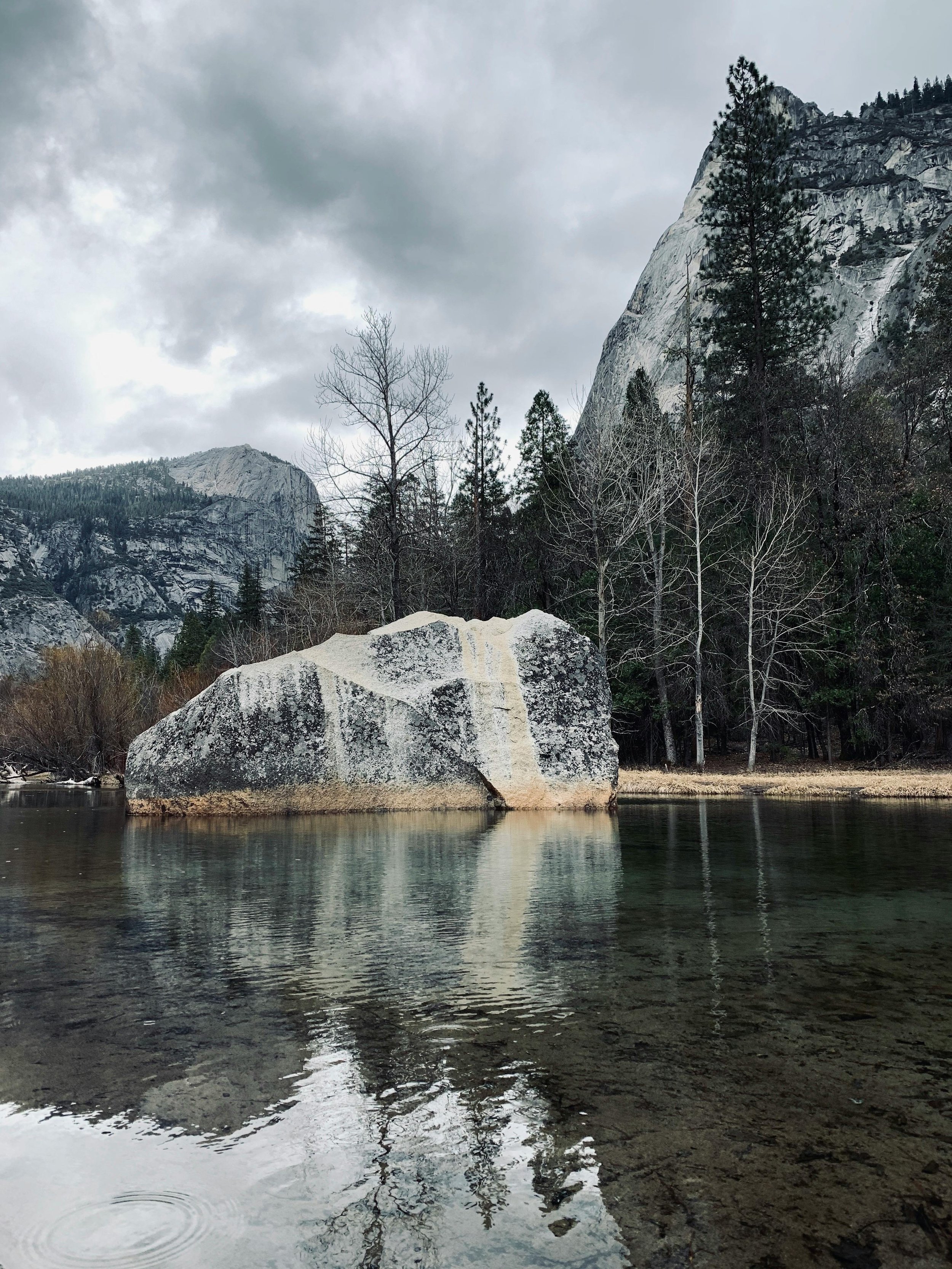 El Capitan Meadow: "View of El Capitan from El Capitan Meadow during sunset, with warm light casting shadows on the iconic rock face