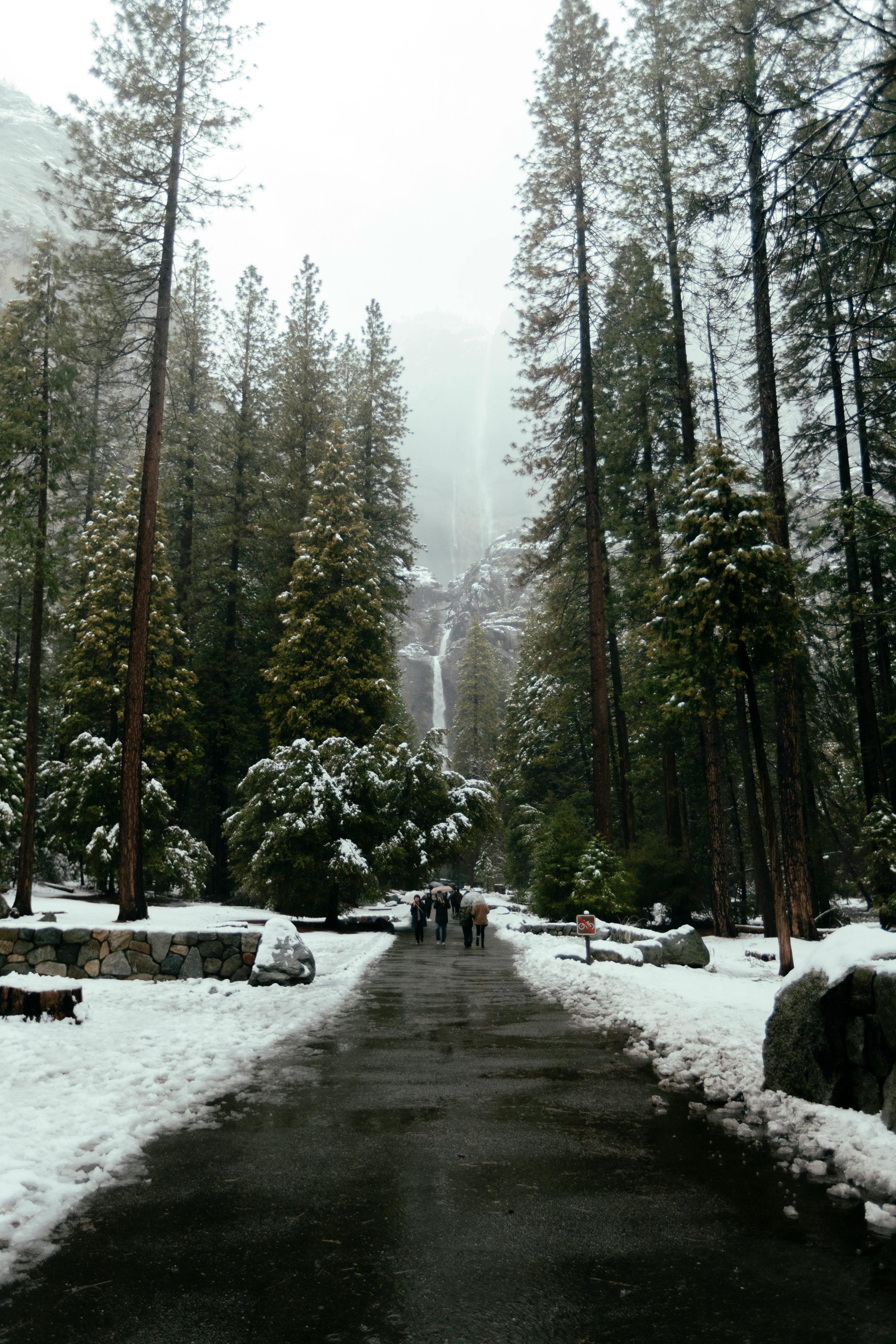 Bridalveil Fall: "Bridalveil Fall cascading down rocky cliffs surrounded by lush green trees, capturing the beauty of Yosemite National Park