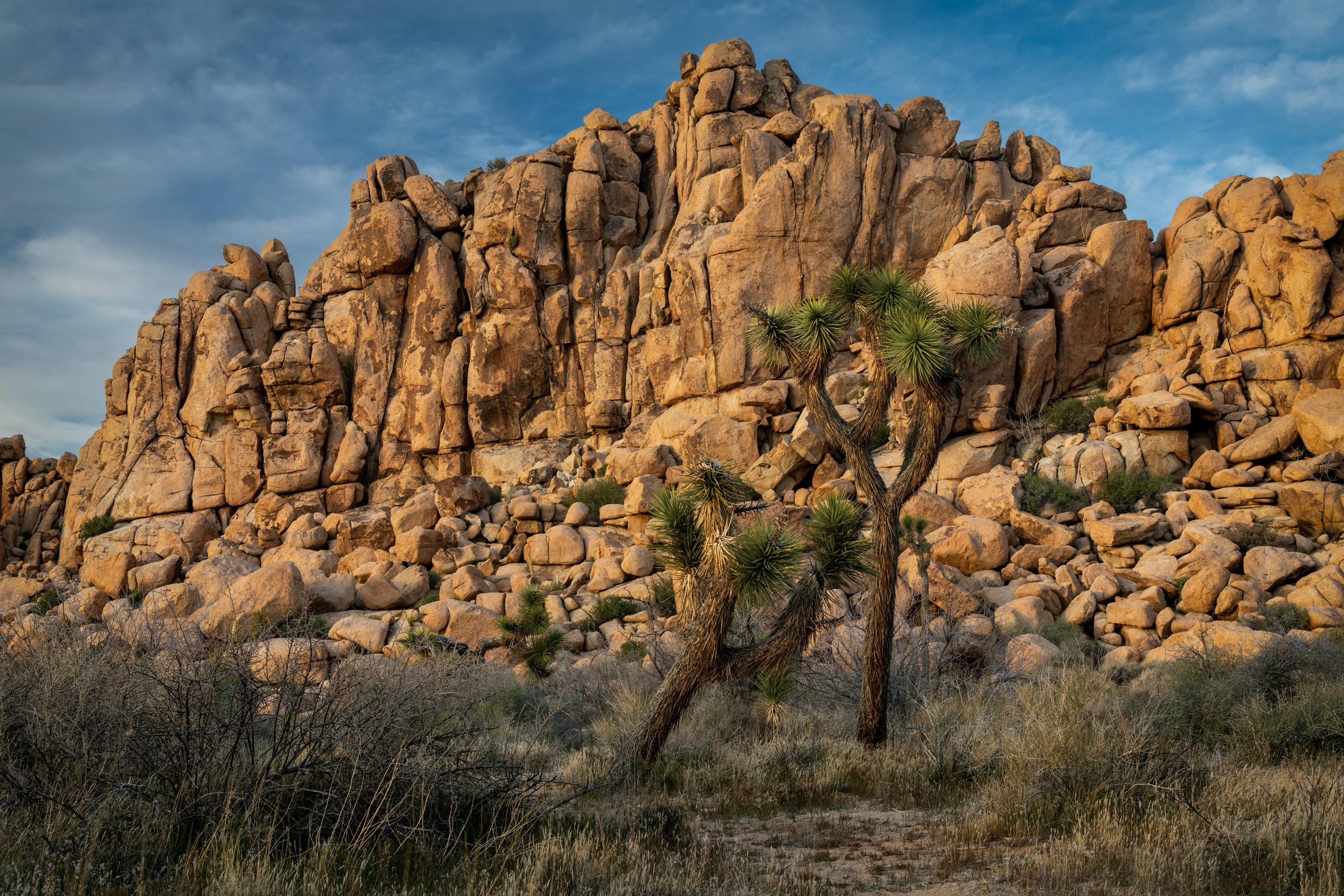 Ryan Mountain Hike: "Hiker reaching the summit of Ryan Mountain, enjoying panoramic views of Joshua Tree National Park's unique landscape