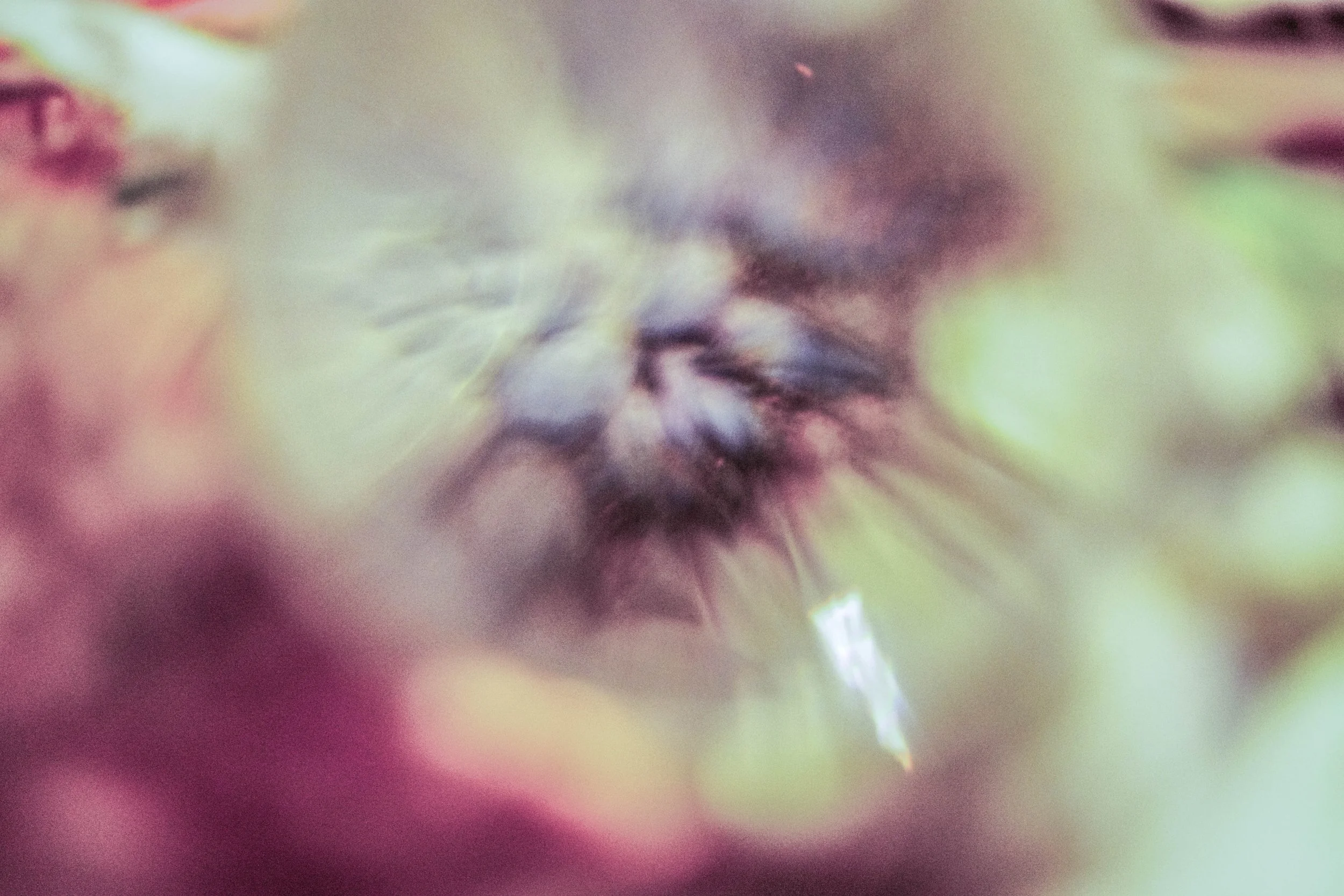 DSC03178- Laying It To Res