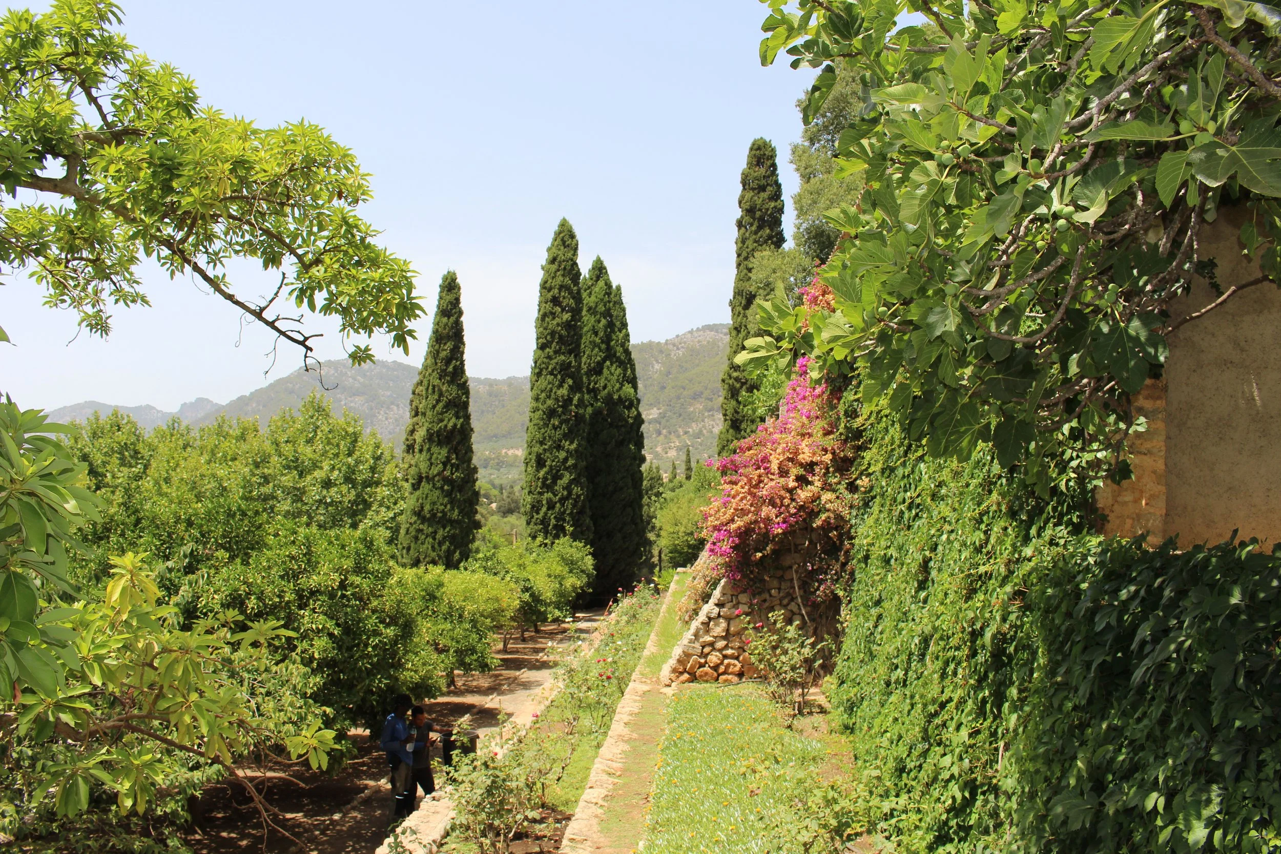IMG_5764.JPG