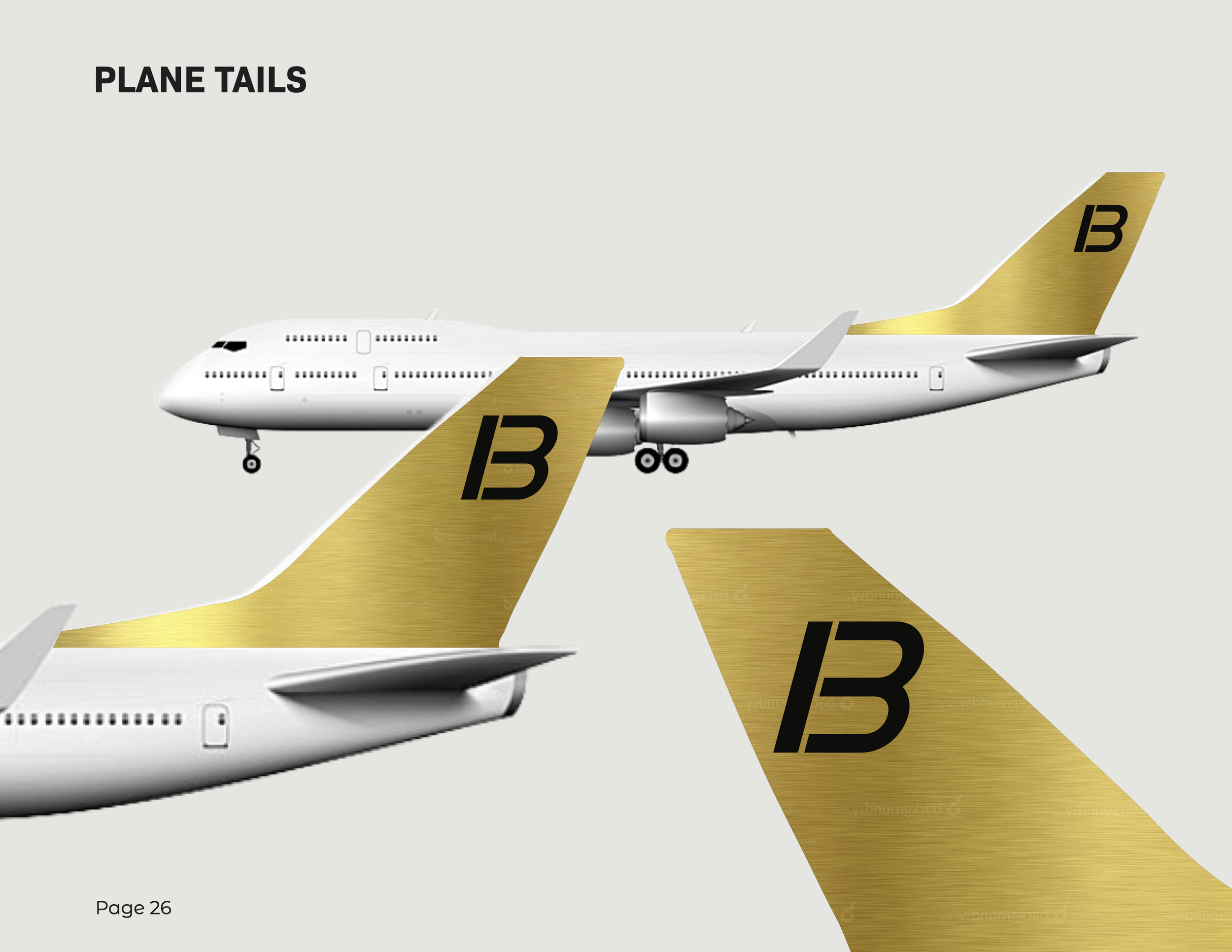 brandingguidefinal_individualpages-26 (dragged).png