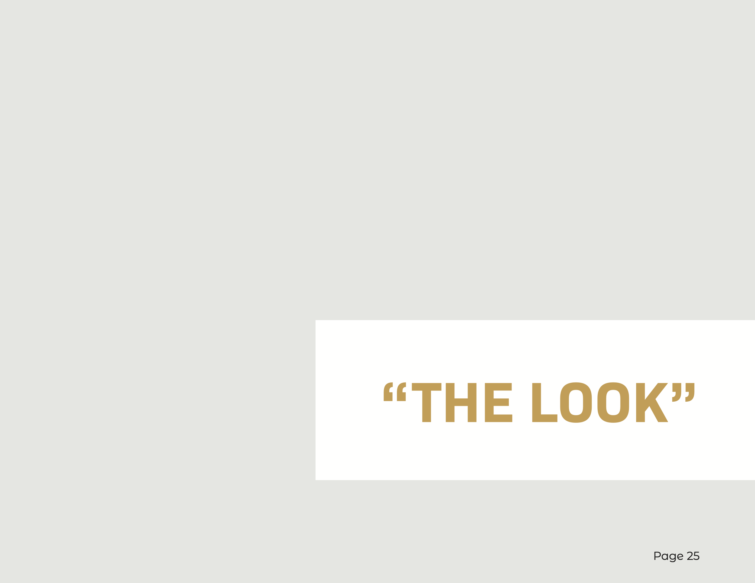 brandingguidefinal_individualpages-25 (dragged).png