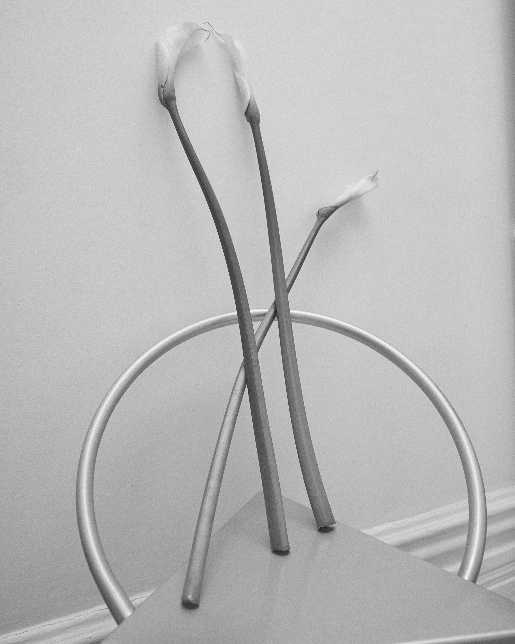 Trois bouquets de fleurs fanées, appuyés contre un support métallique en forme de cercle, sur une surface plane.