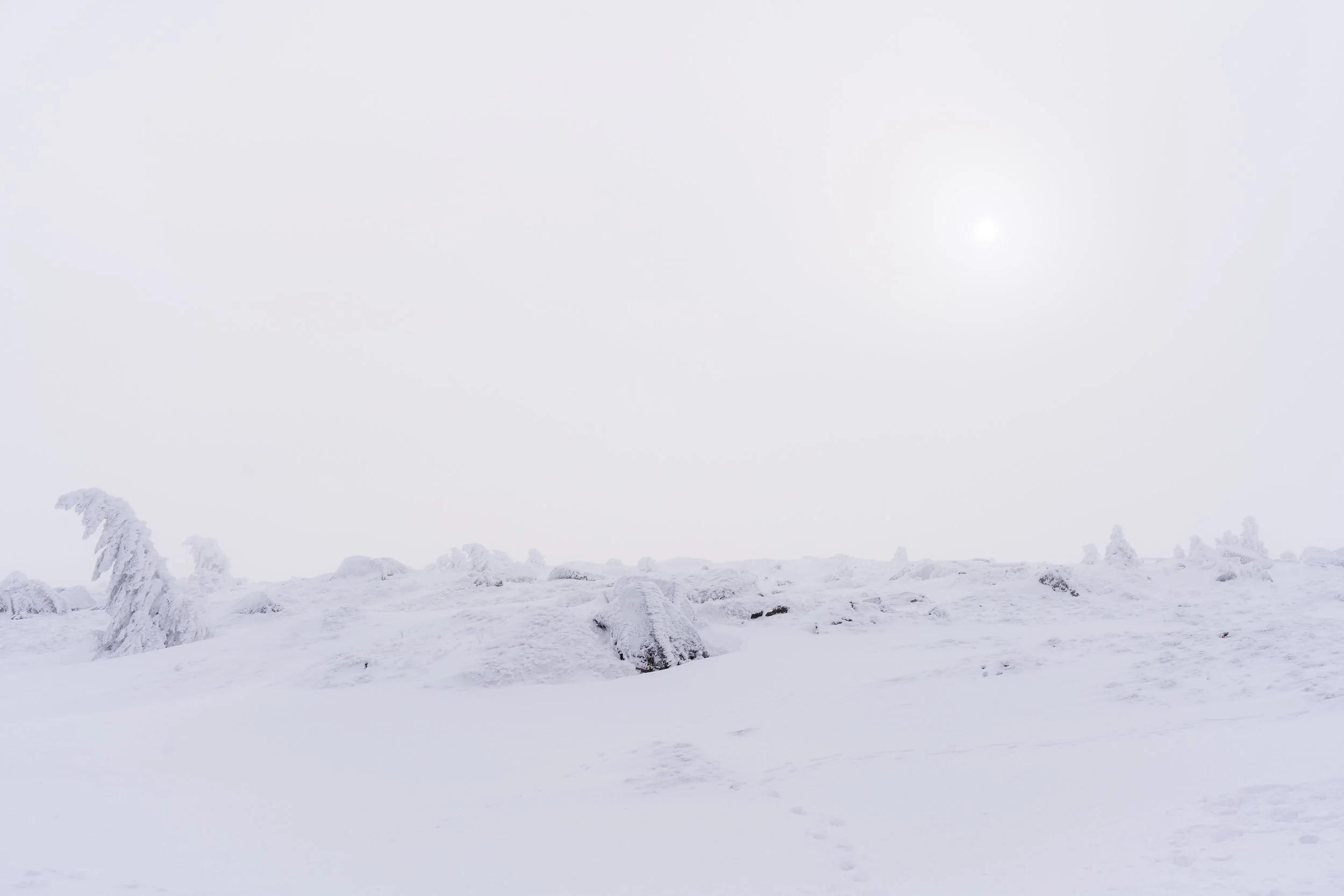 Verschneite winterliche Landschaft mit Bäumen und Felsen, im Hintergrund ein grauer Himmel und die Sonne