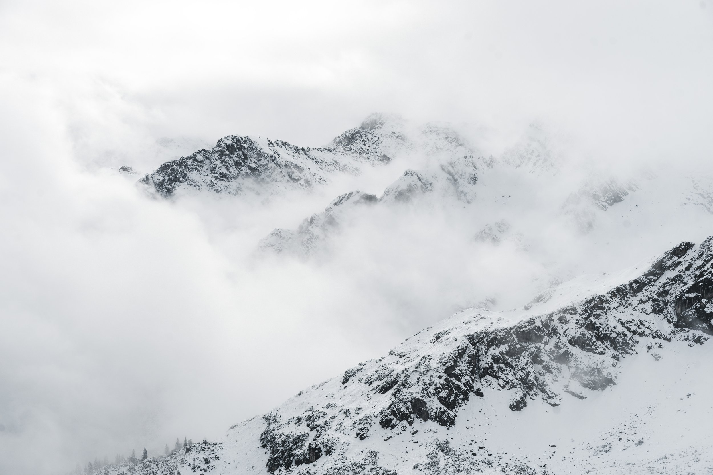 20201027-DSC00530-Bearbeitet.jpg