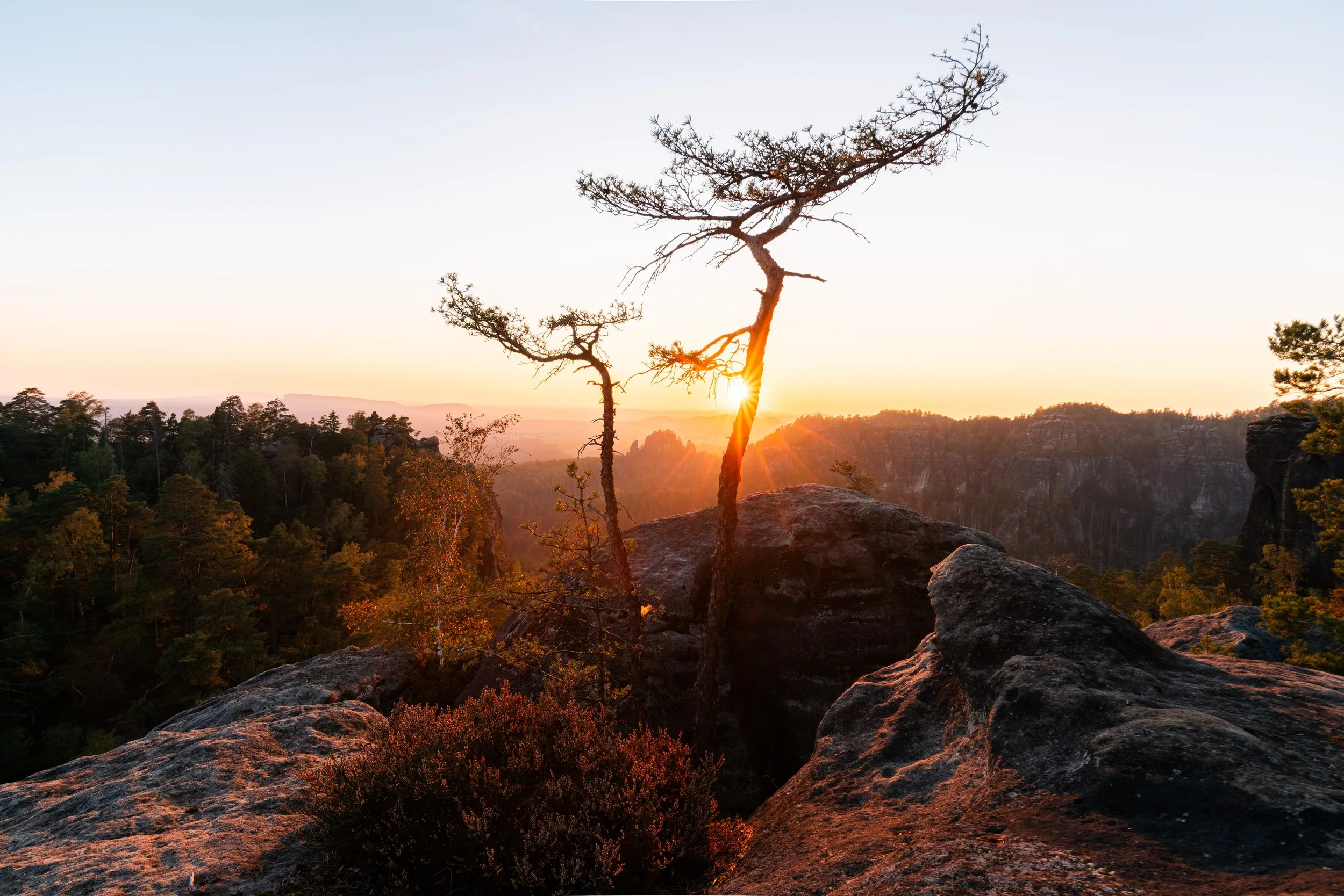 Zwei karge Bäume stehen in der Abenddämmerung auf einem Felsen, die Sonne geht hinter den Bergen im Hintergrund auf oder unter und strahlt durch die Äste der Bäume, umgeben von einem Wald und einer hügeligen Landschaft.