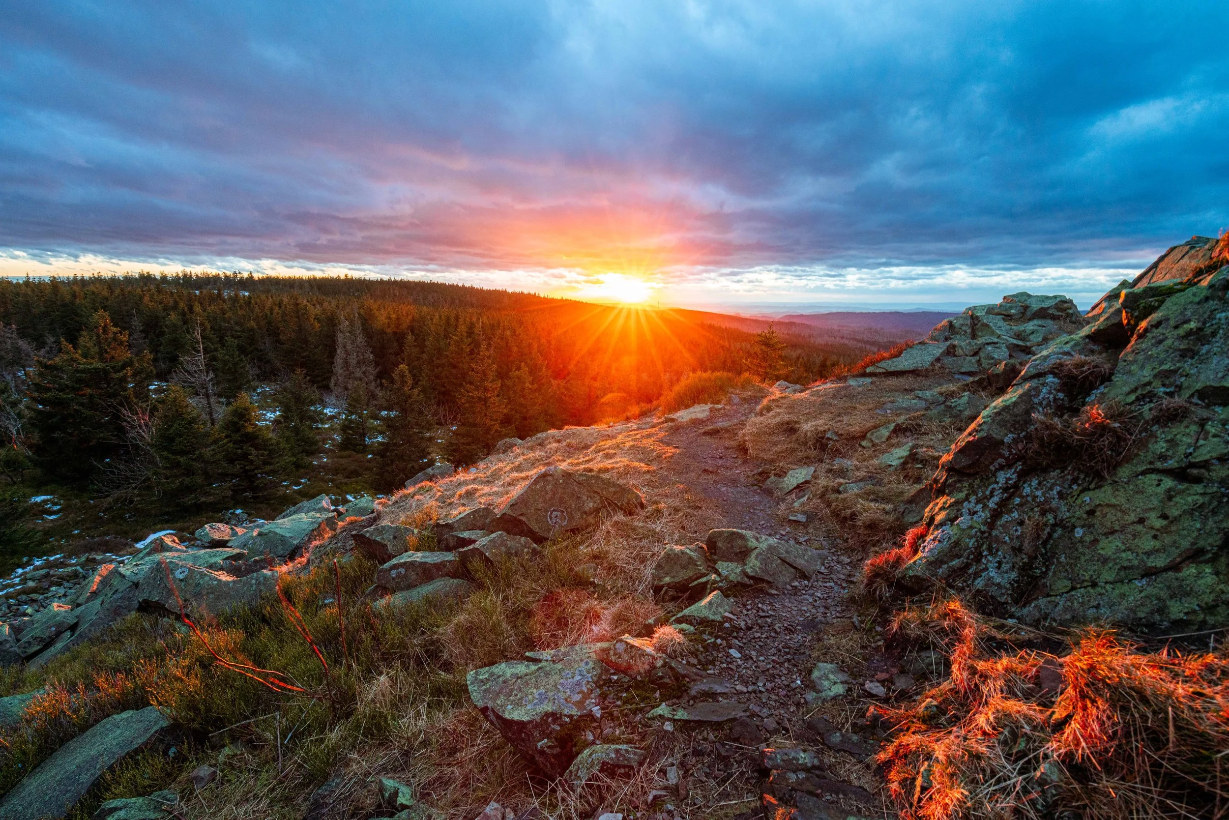 Bergpfad mit Felsen und Tannen im Sonnenuntergang über den Bergen