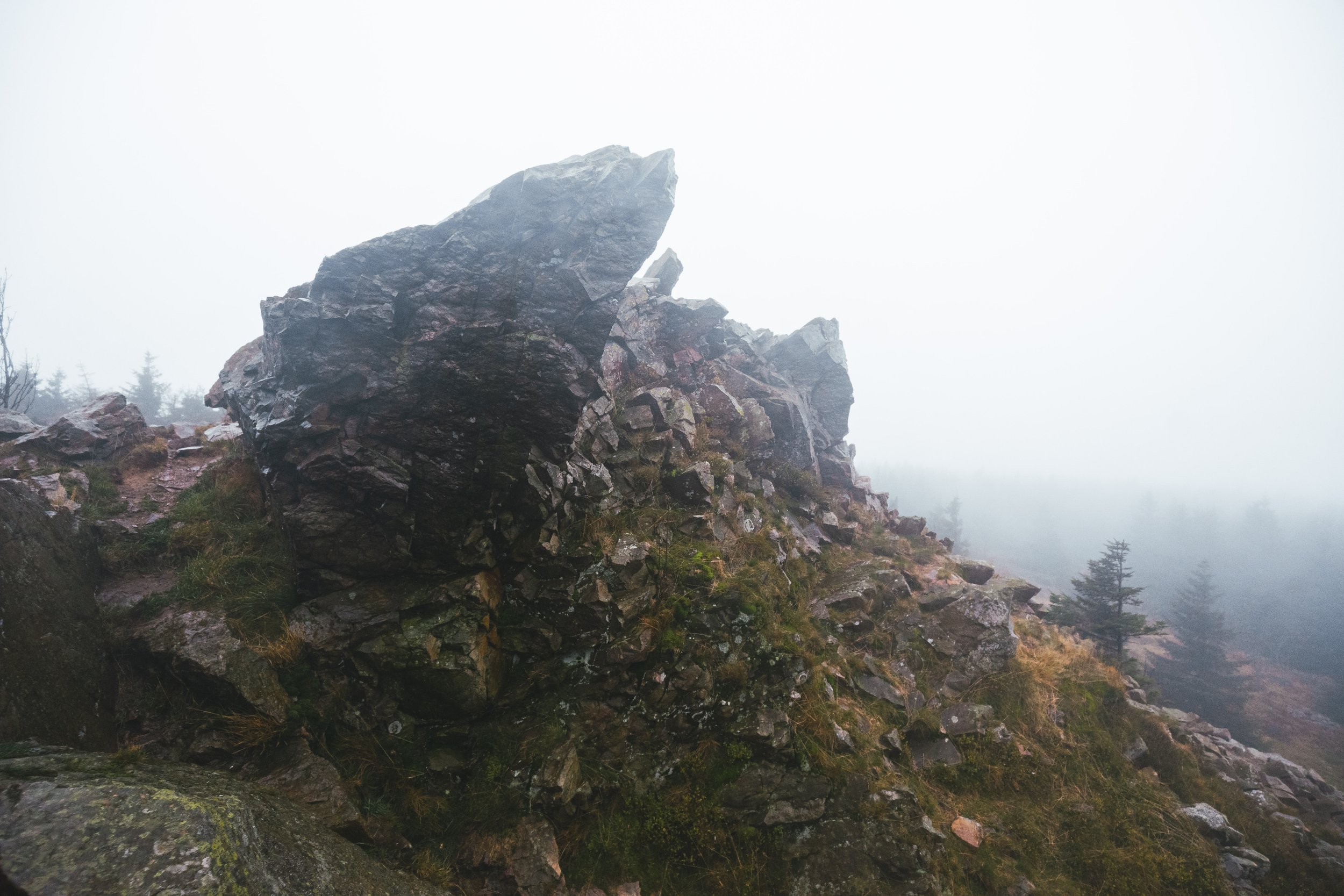 Felsformation auf einem nebligen, bewaldeten Berg