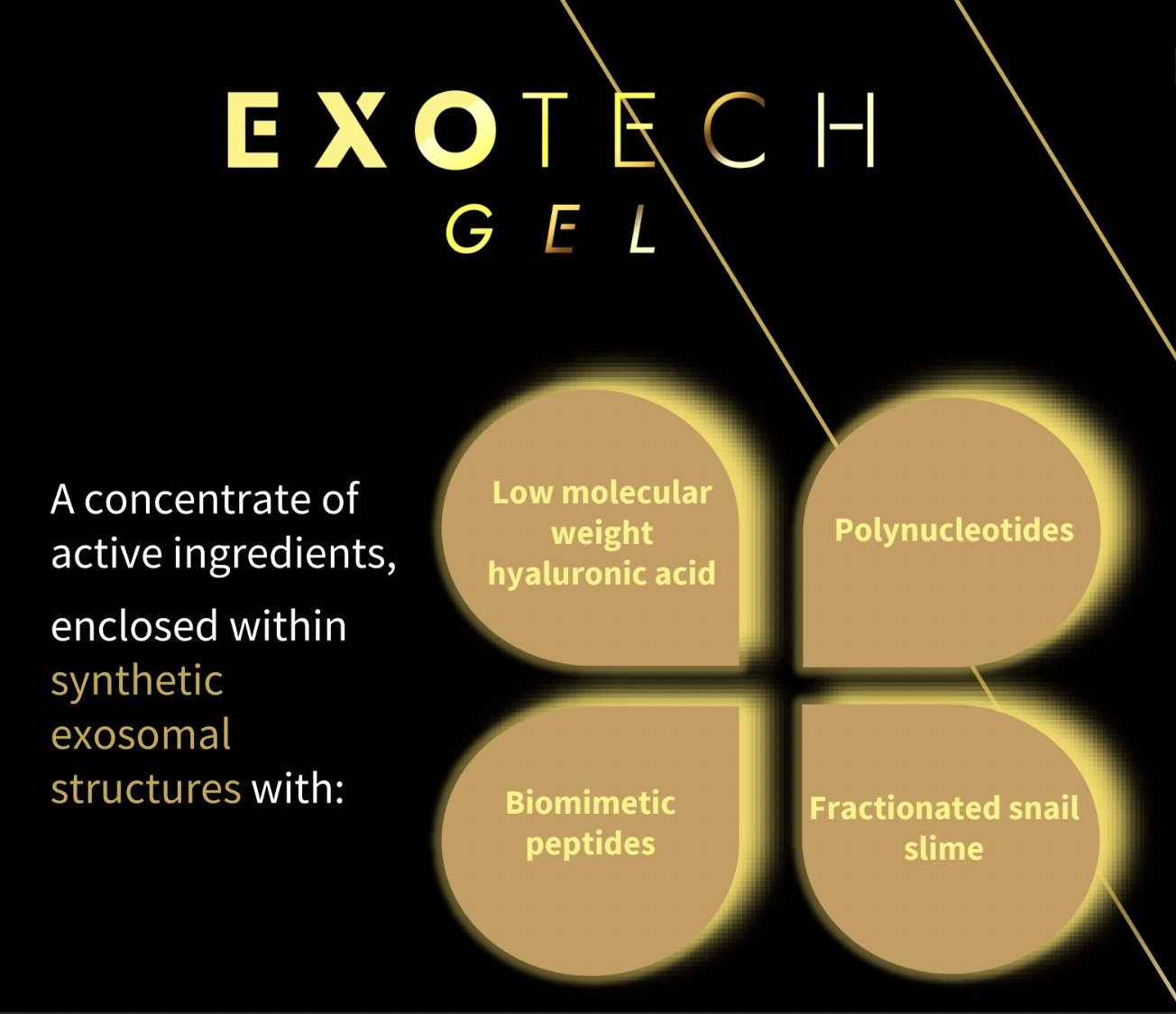 exotech slide-1.jpg
