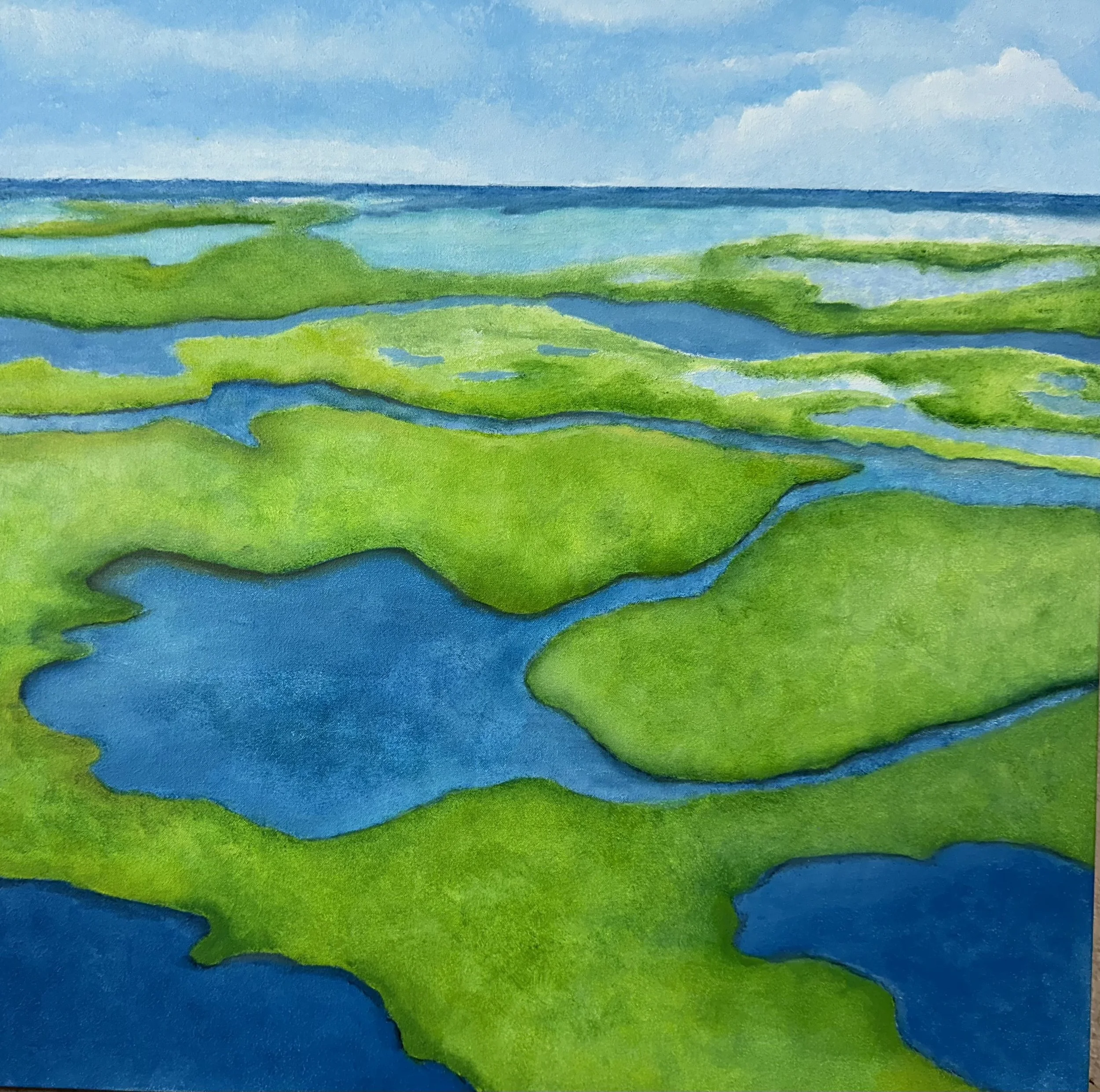 Subtropical Wetland (Copy)