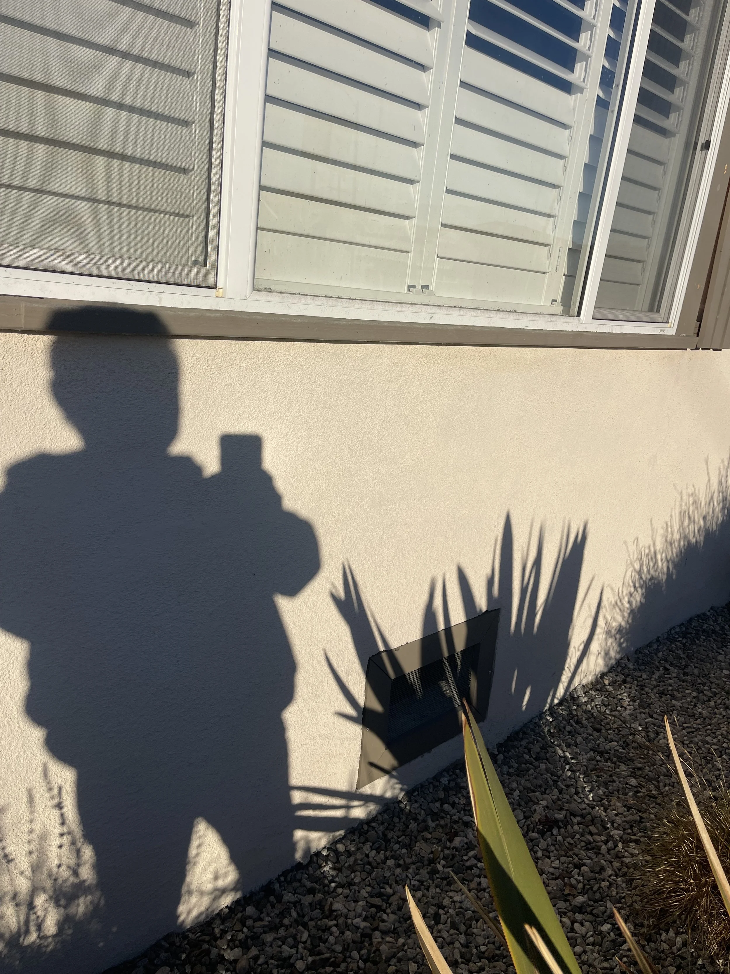 IMG_5460.jpeg
