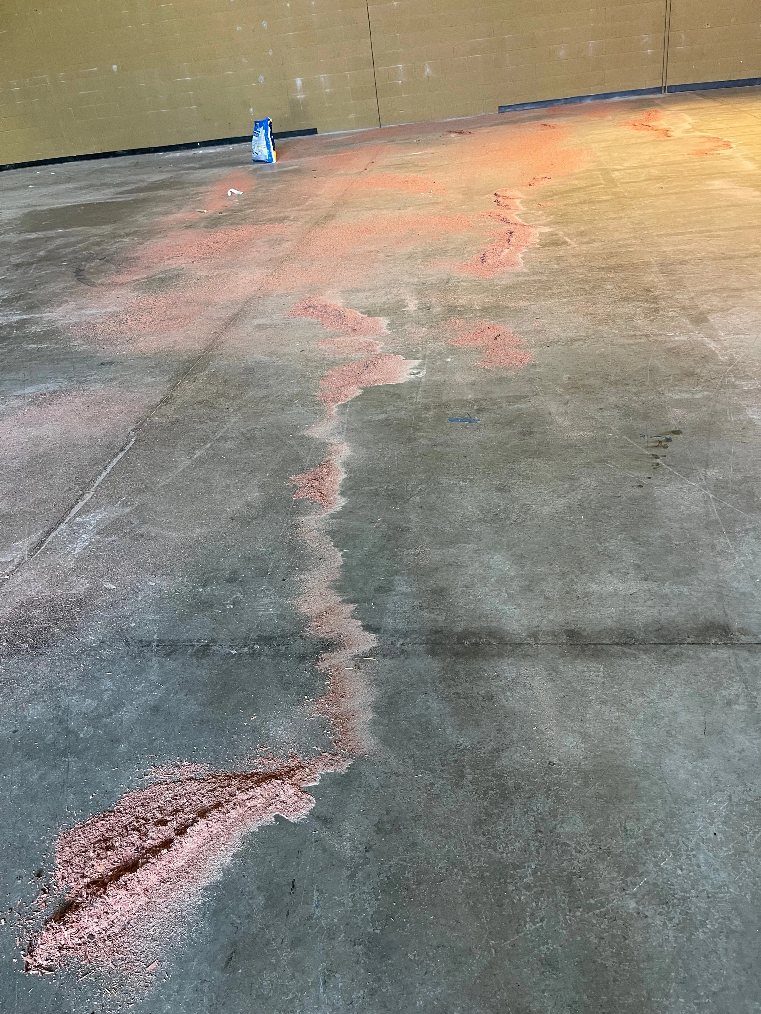 Active Ride Demo - 15 of 20.jpeg