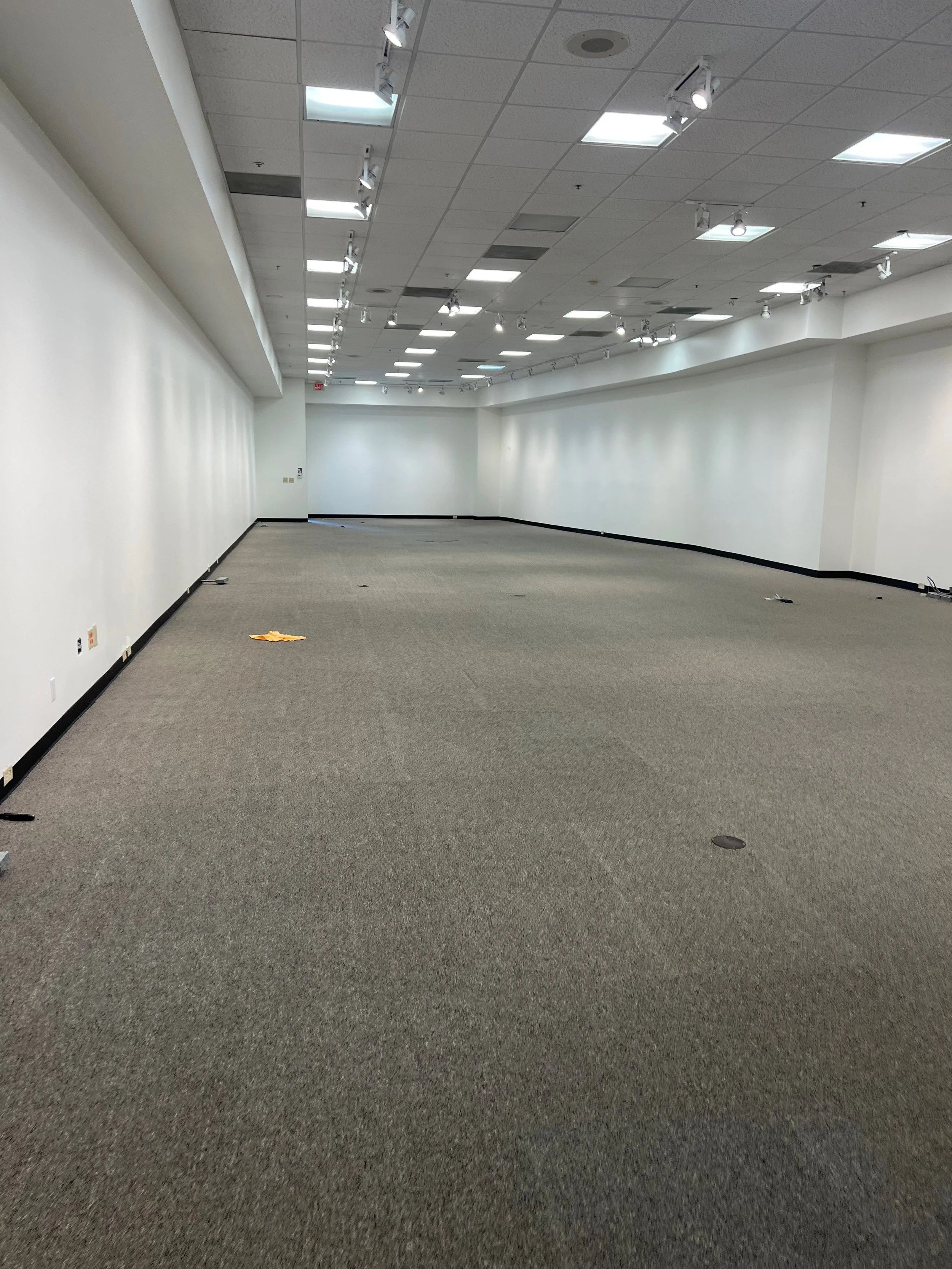 Manhattan Village unit c14 Demo - 29 of 31.jpeg