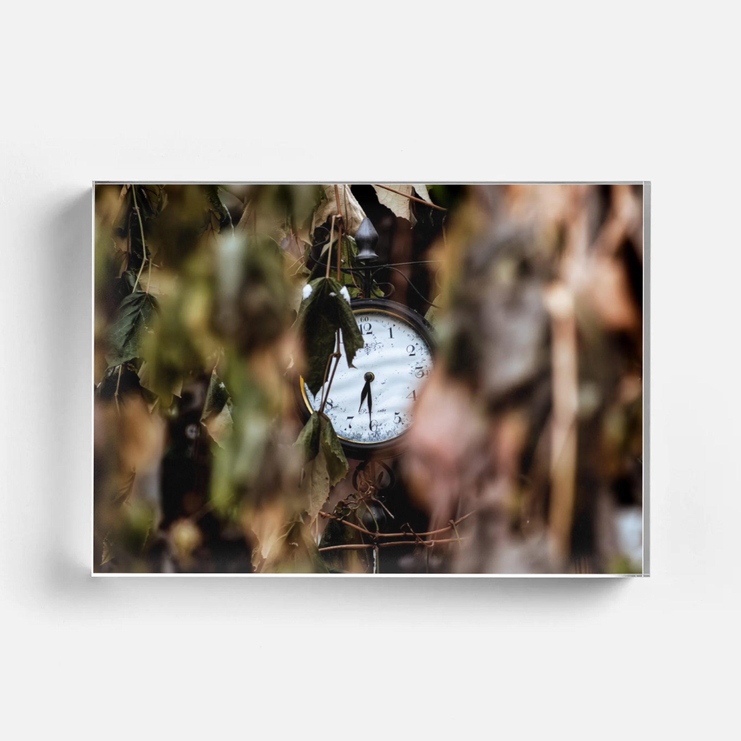 HalfPast_Acrylic.png