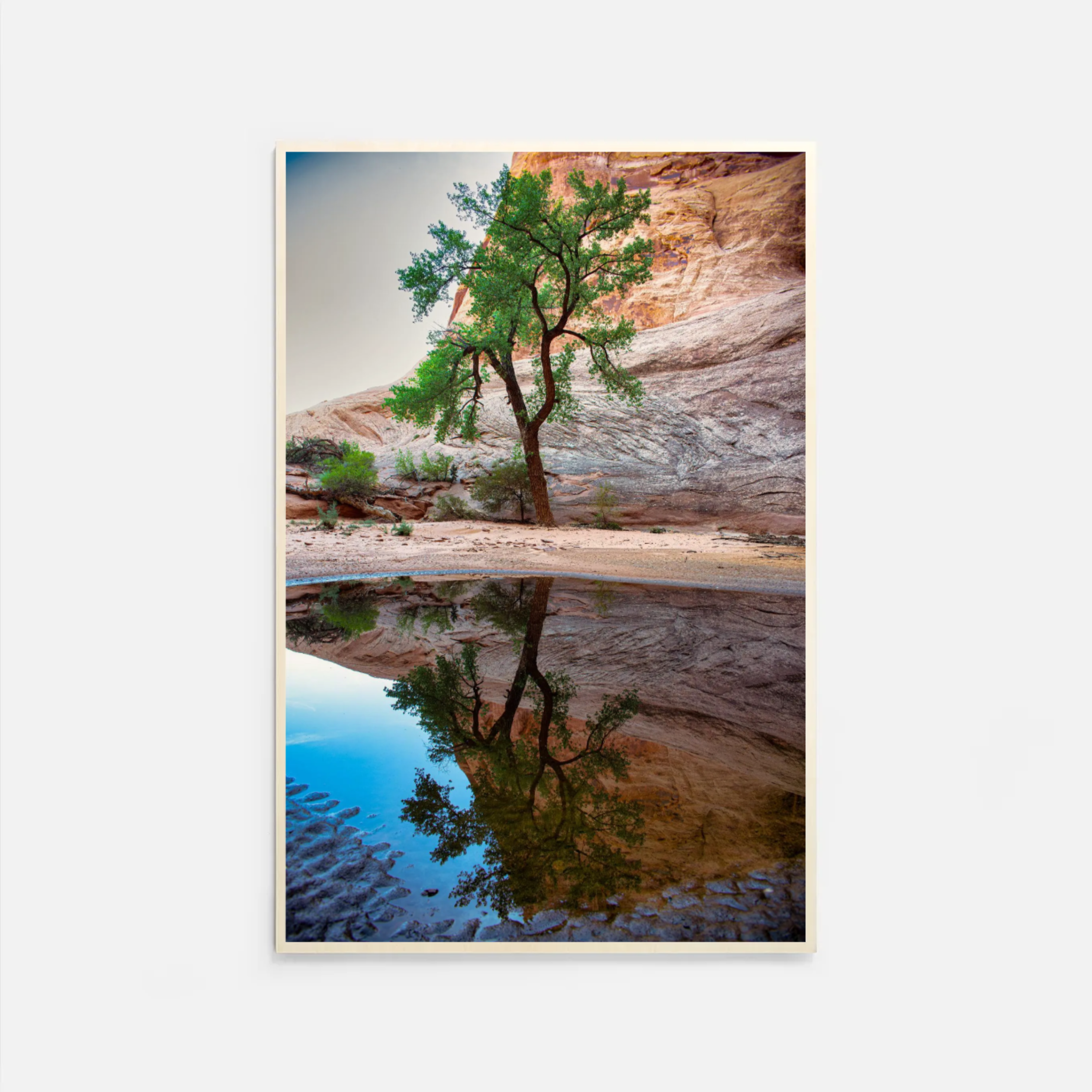 LifeReflections_Wood_White.png