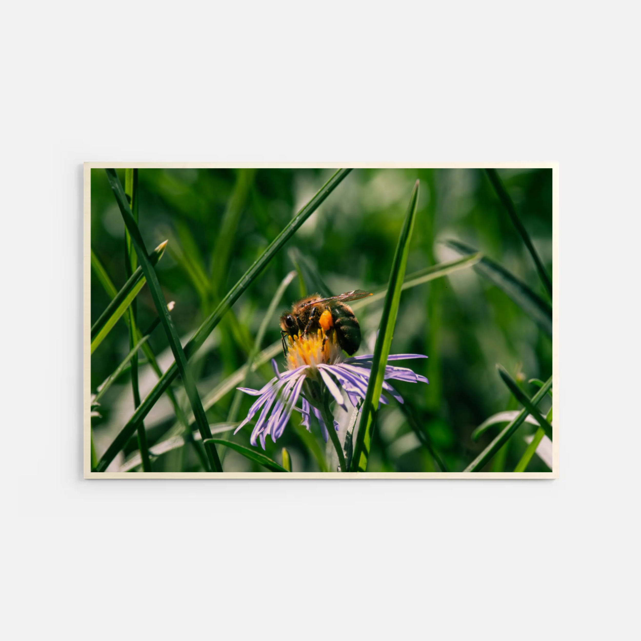 SaveTheBees_Wood_Nat.png