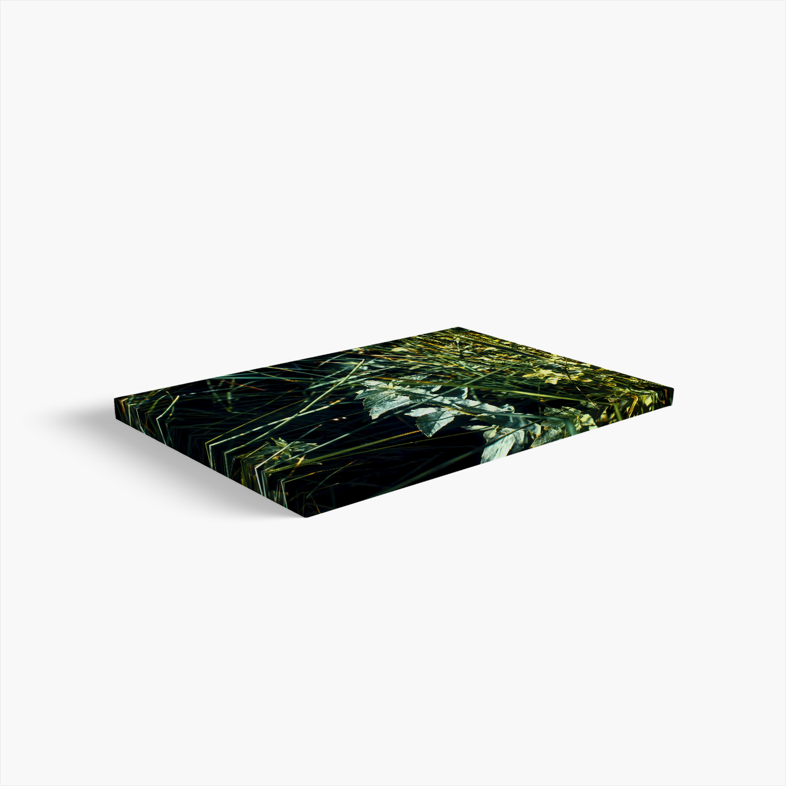 Mint_Canvas_S.png