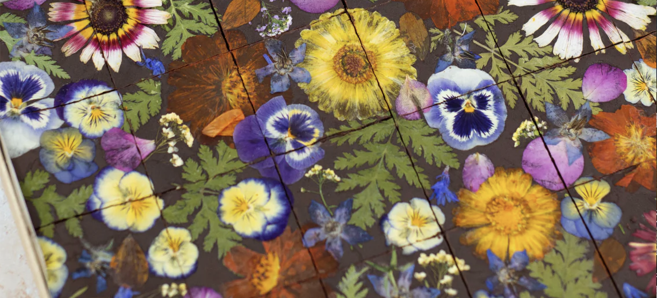 Brownies with Edible Flowers