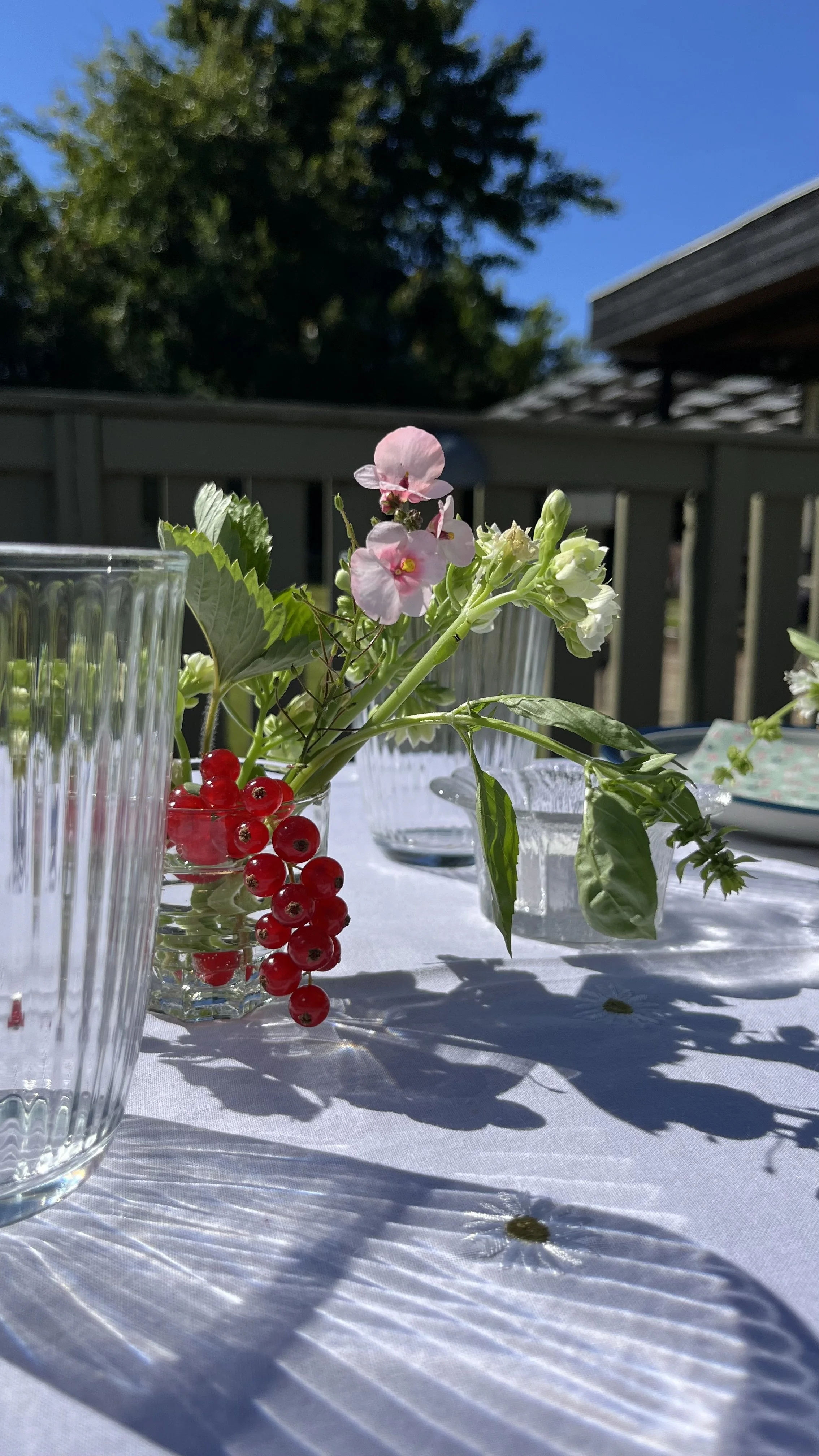 IMG_6329.jpeg