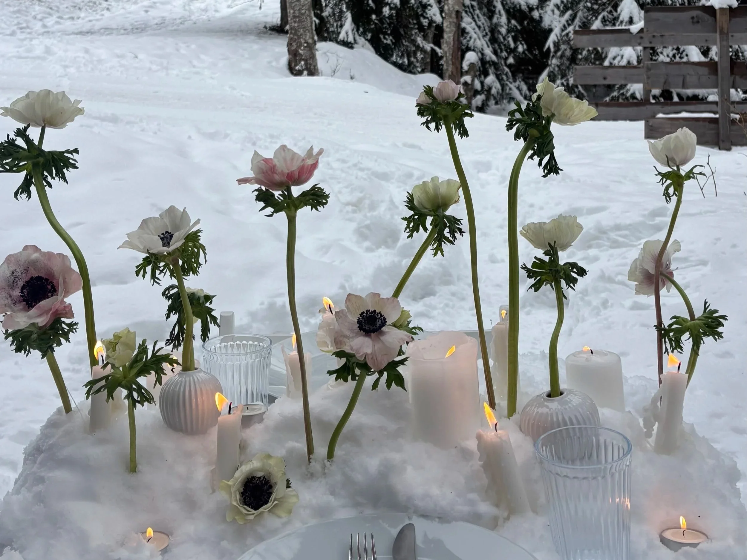 A whimsical winter snowscape. 