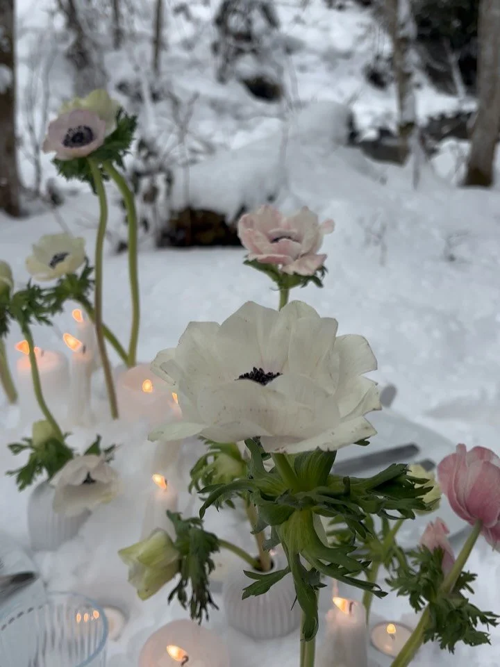 Creating beauty when surrounded by beauty. 🤍

I am always dreaming of designing hygge into my work and when we got a fresh dusting of snow I couldn&rsquo;t wait to create and bring an added sense of magic to the mountains in an unexpected way. 🧚 Xx