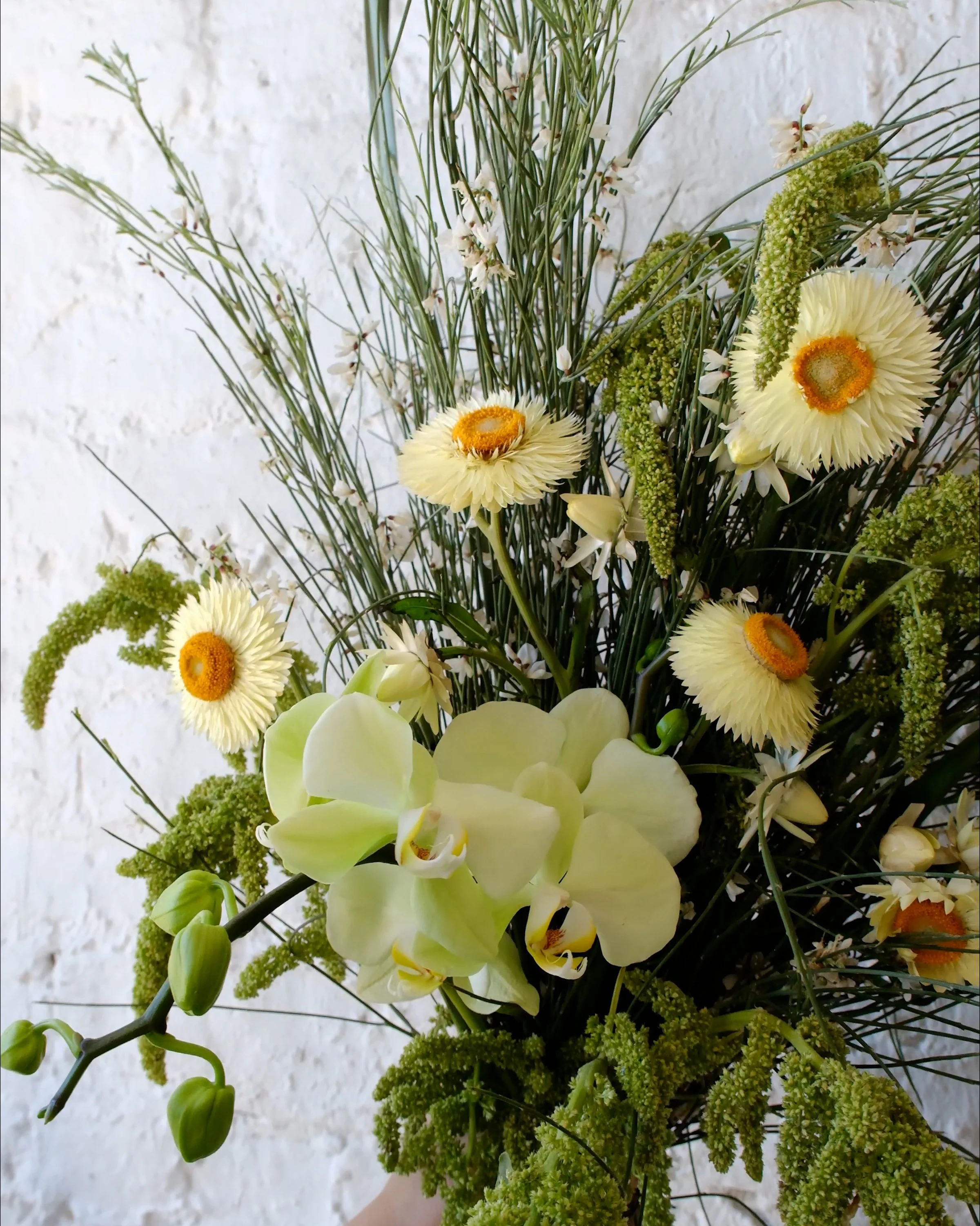 The "Sydnie" Arrangement