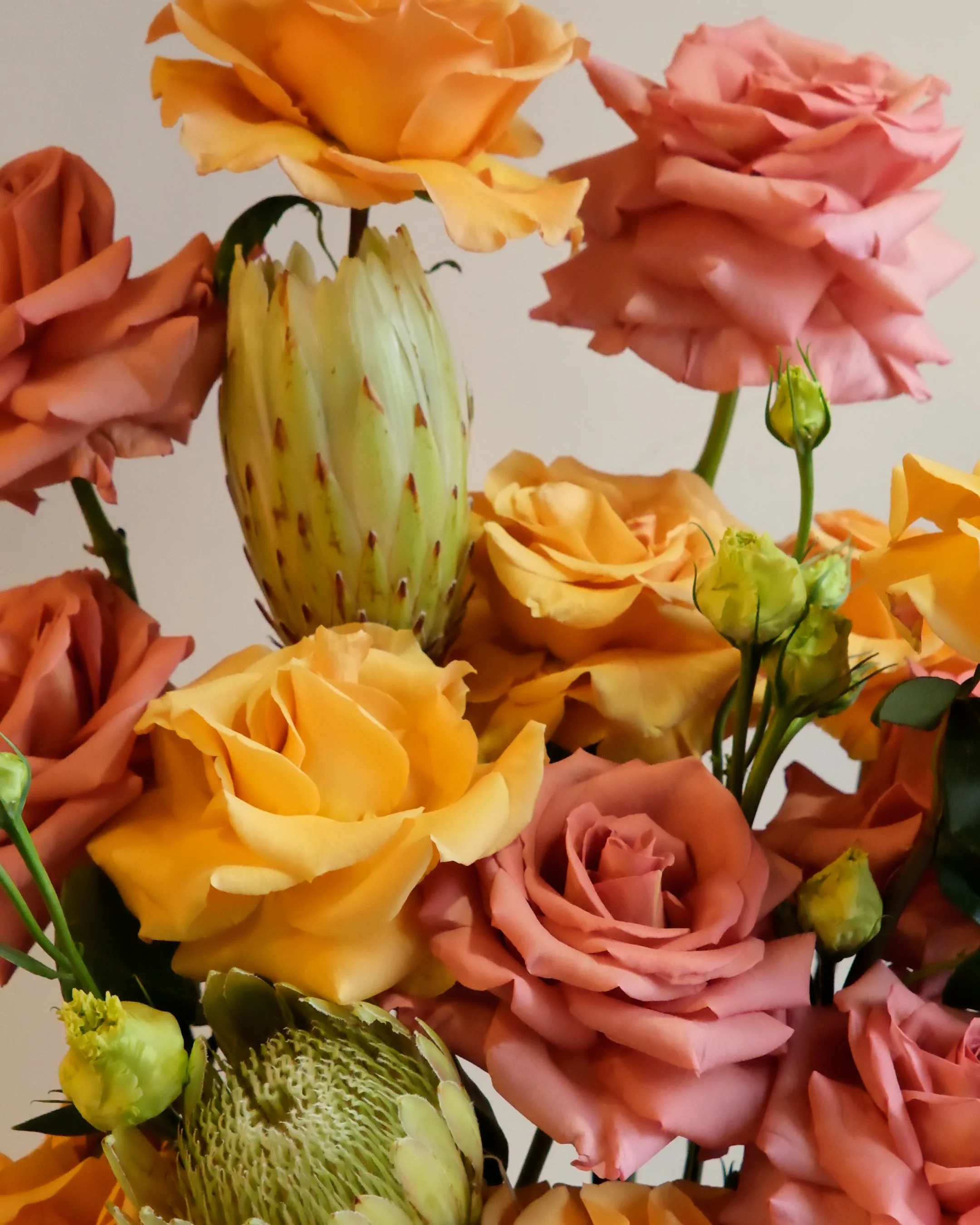 Still Pastel.00_00_38_17.Still002.jpg