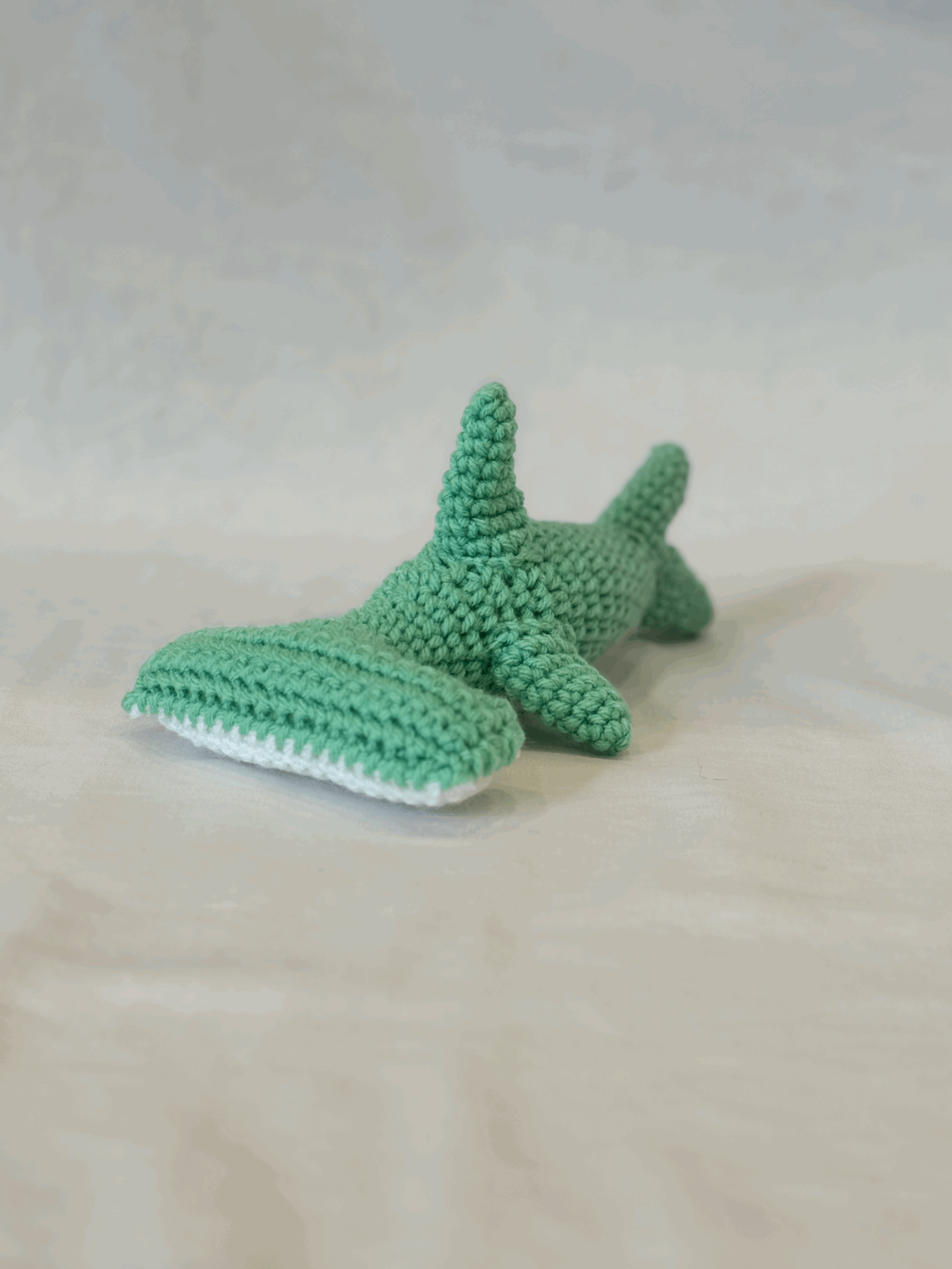 Hugo the Hammerhead